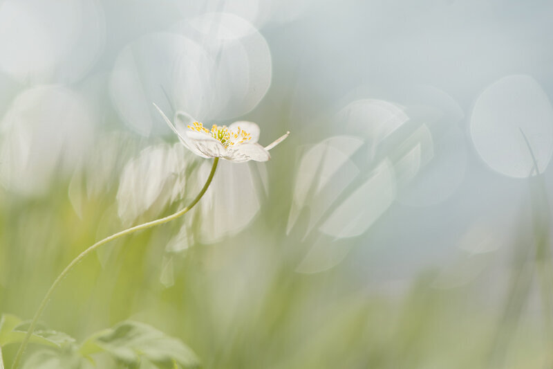 Magazine fotograaf | Trui Heinhuis Fotografie