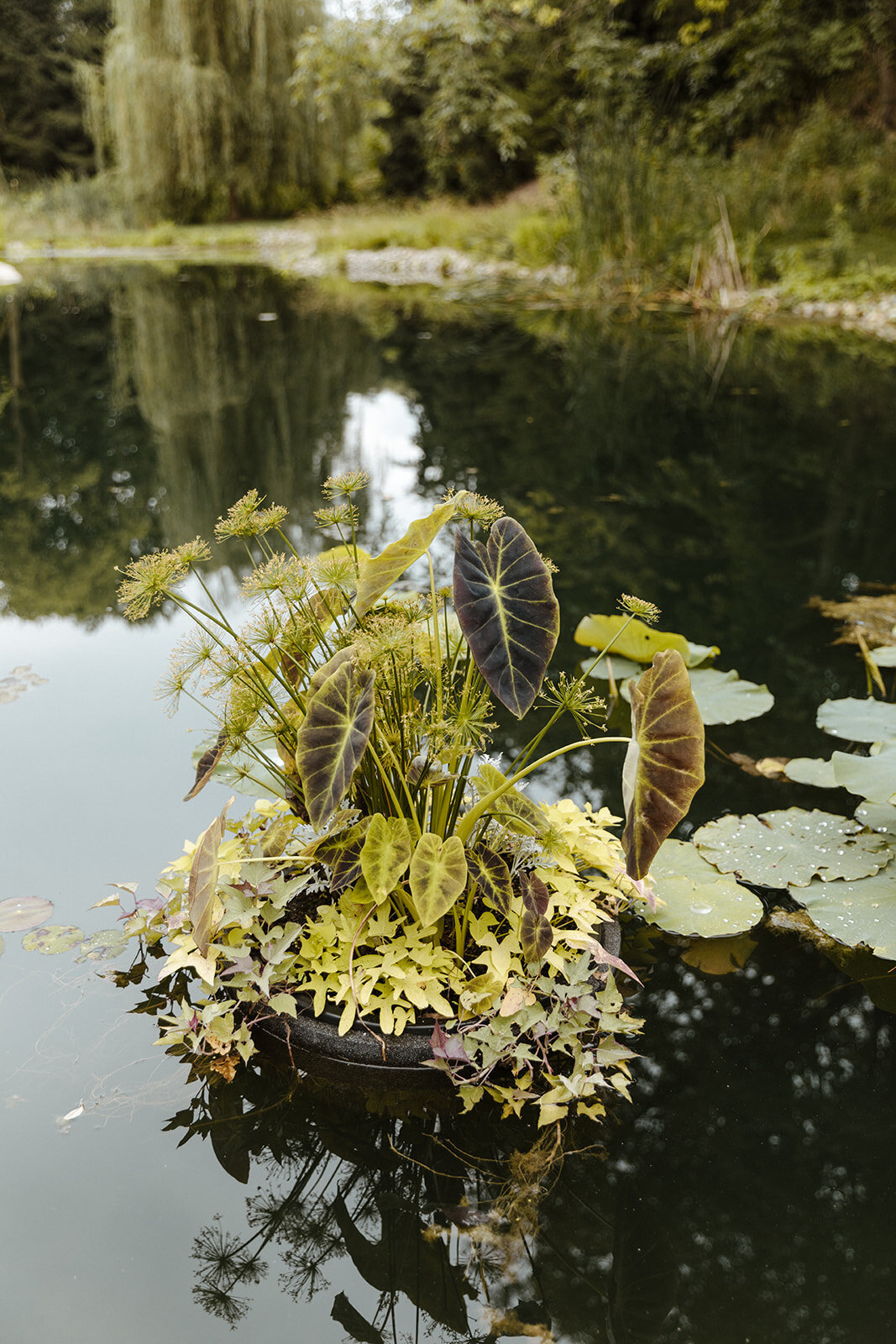 SarahMillikanPhotography-4816_websize