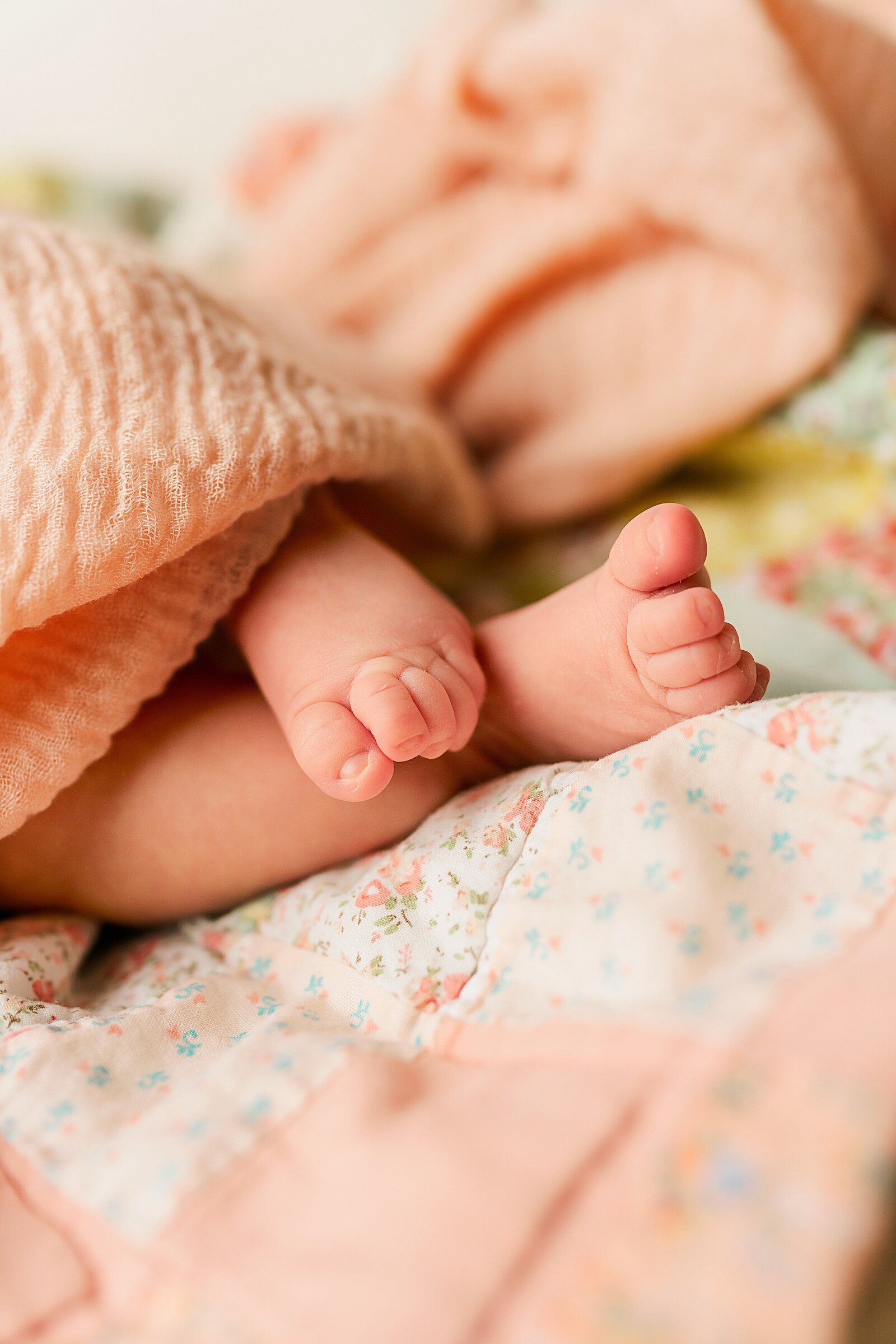 Alexandria Northern Virginia Newborn Photographer Melissa Sheridan_0032