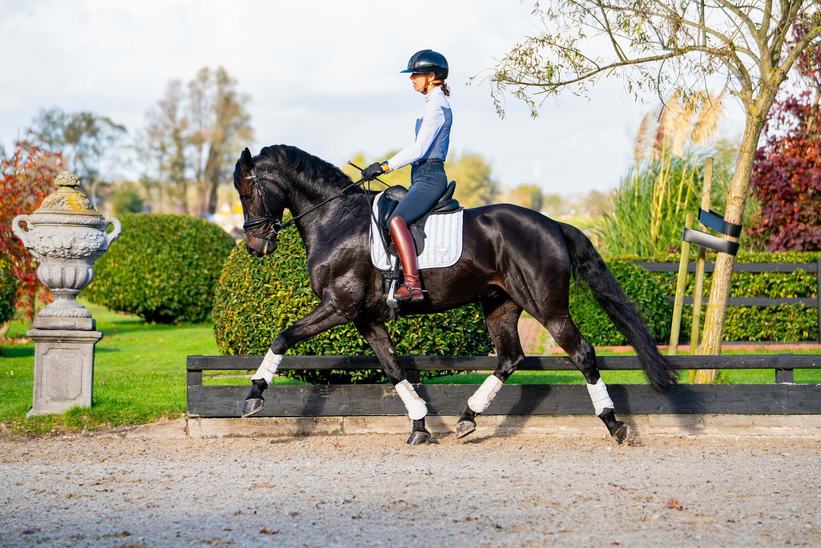 Verkoop foto gemaakt door Cheyenne Vlottes (2)