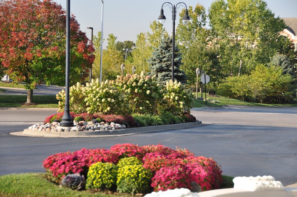 colorful flowers and plants inside a median