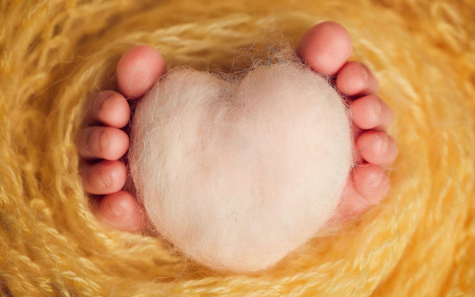 A baby's tiny feet wrapped in a cozy yellow wool ball, beautifully photographed by Bia Schaefer in an in-home newborn session in Davenport, Florida.