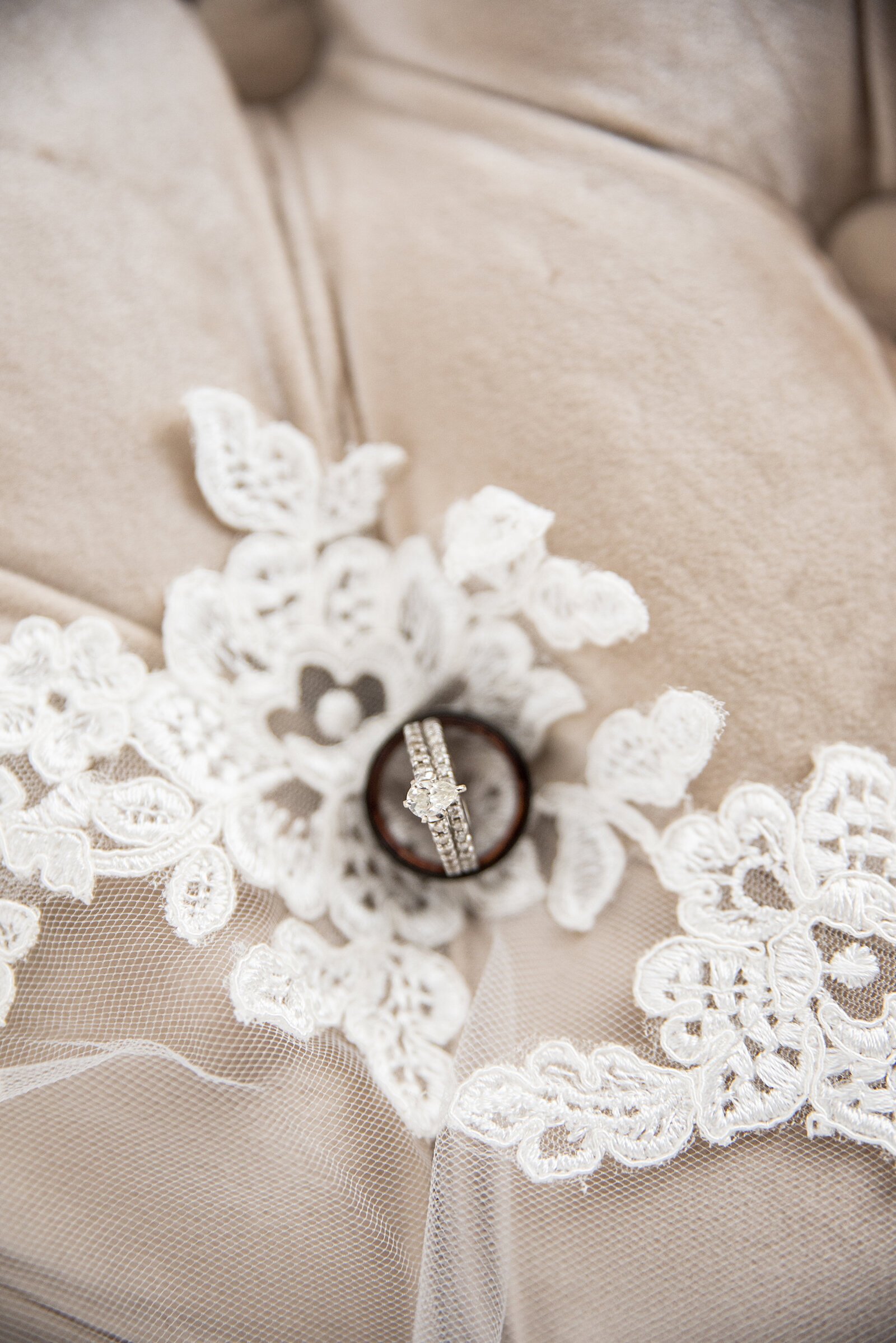 OCF Collection 049