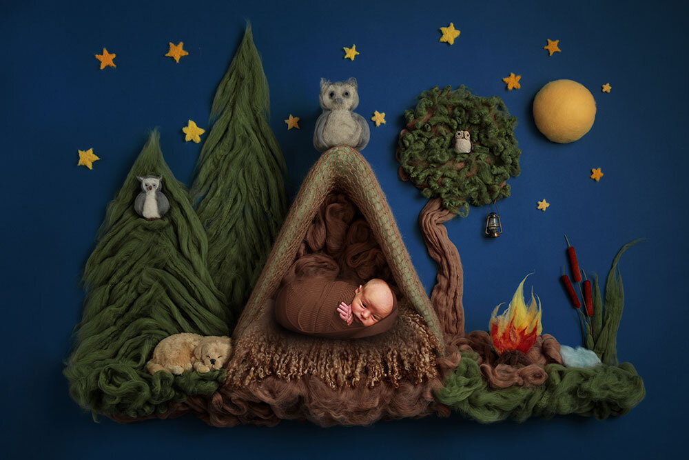 Newborn-Camping-colorado-mountain-forest-whimiscal-cute-colorful-colorado-baby-blue-owl-tent-stars-dog-campfire-unique