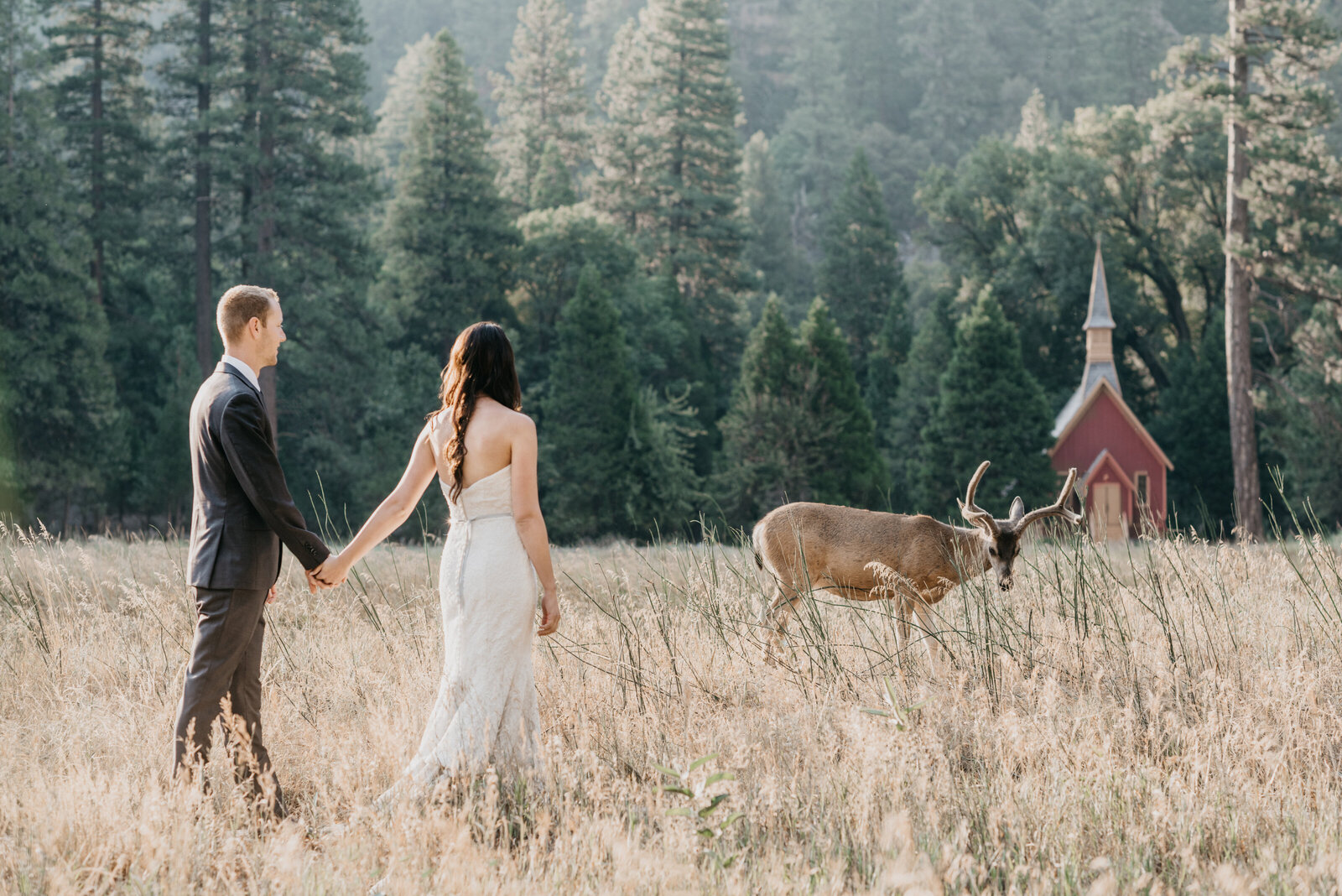 Yosemite-Wedding-Photographer