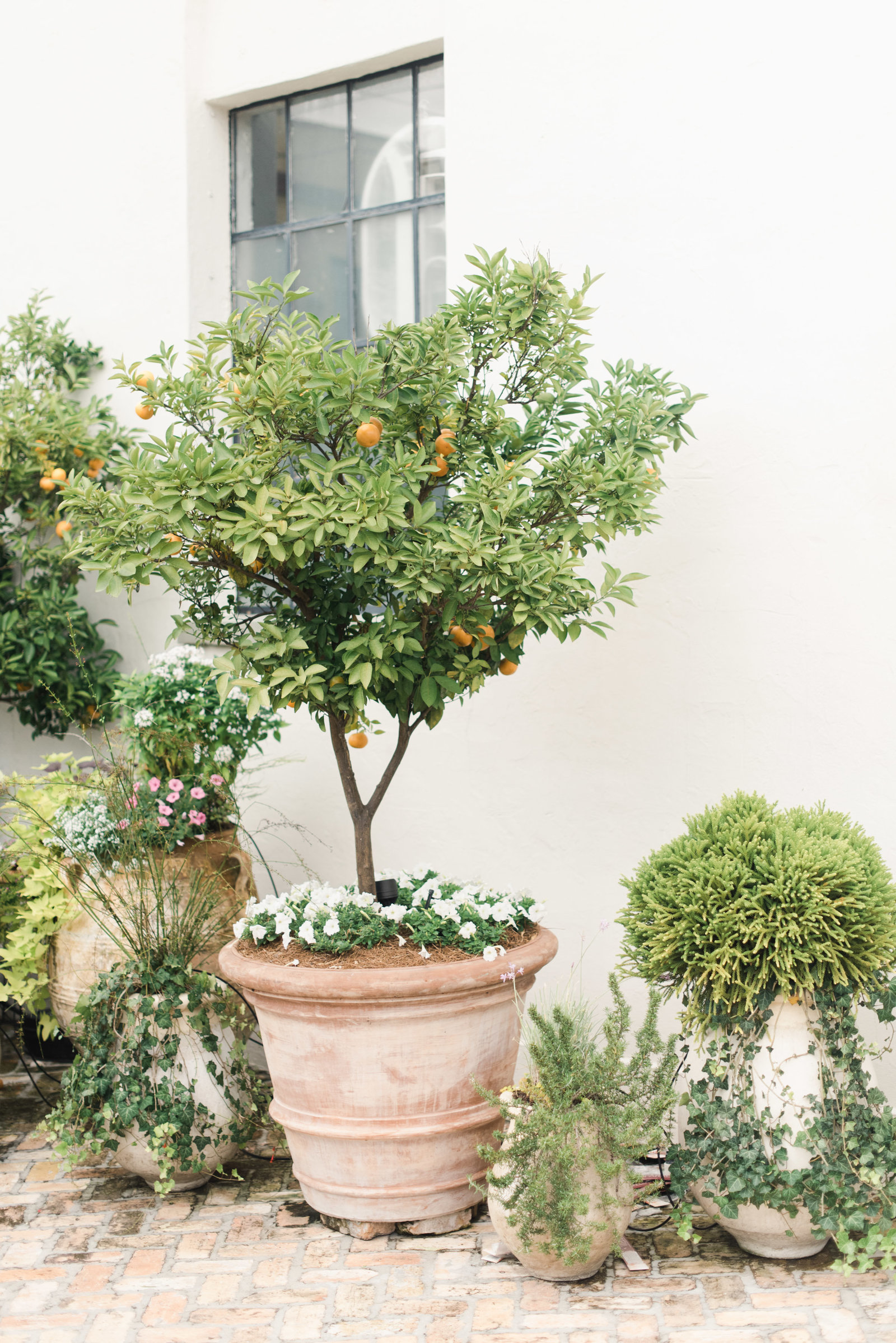 Chelsea_Rousey_Photography_NOLA_Ruffled_Styled_Social-1