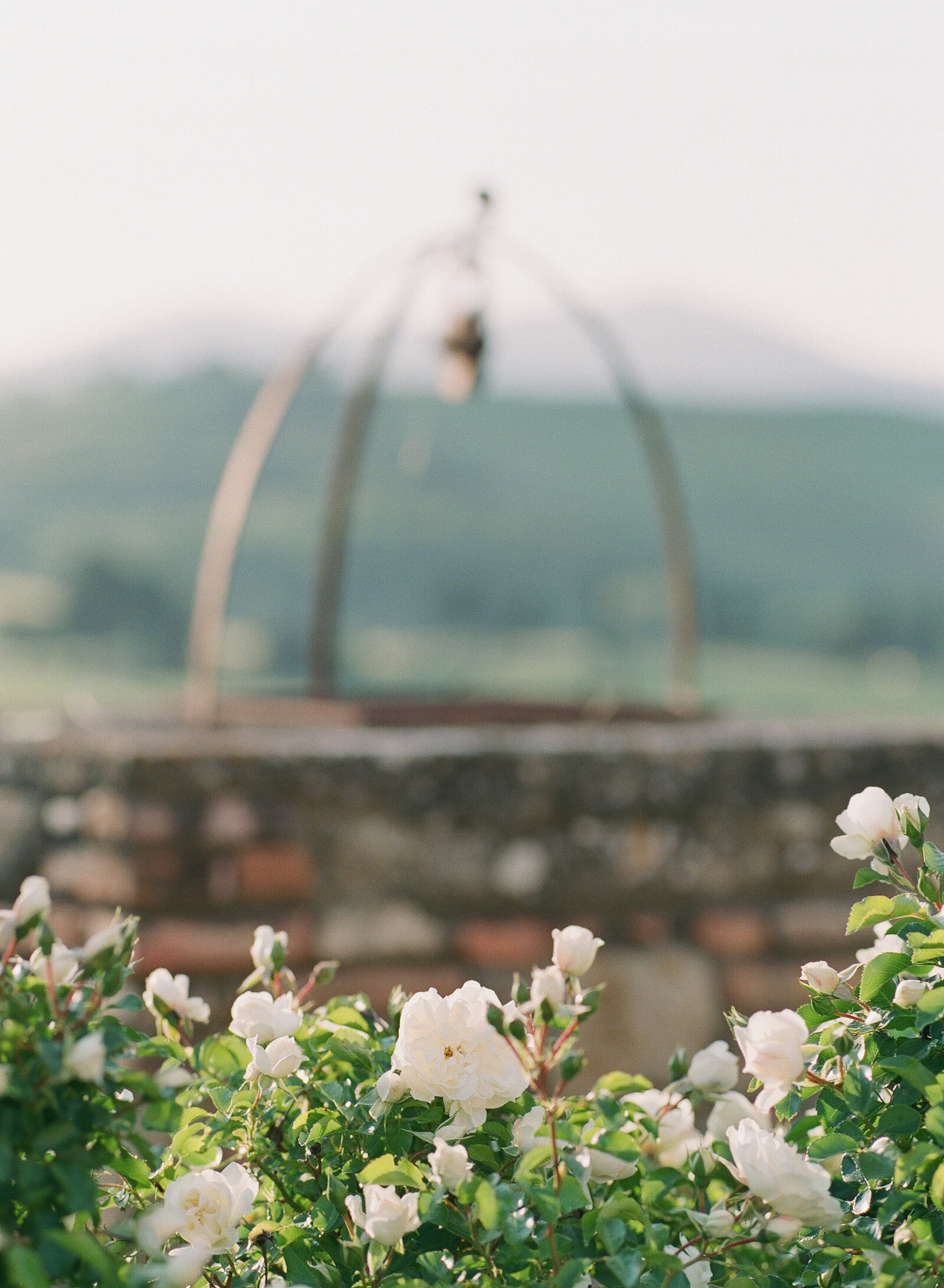 Italy_Tuscany_704948_0008©HilaryBlock