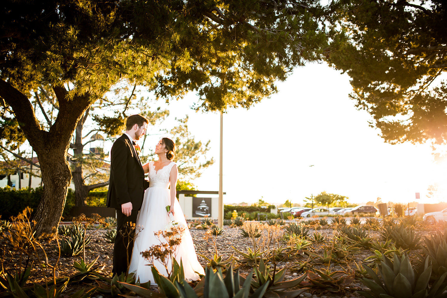 bride and groom with tom hams in the background