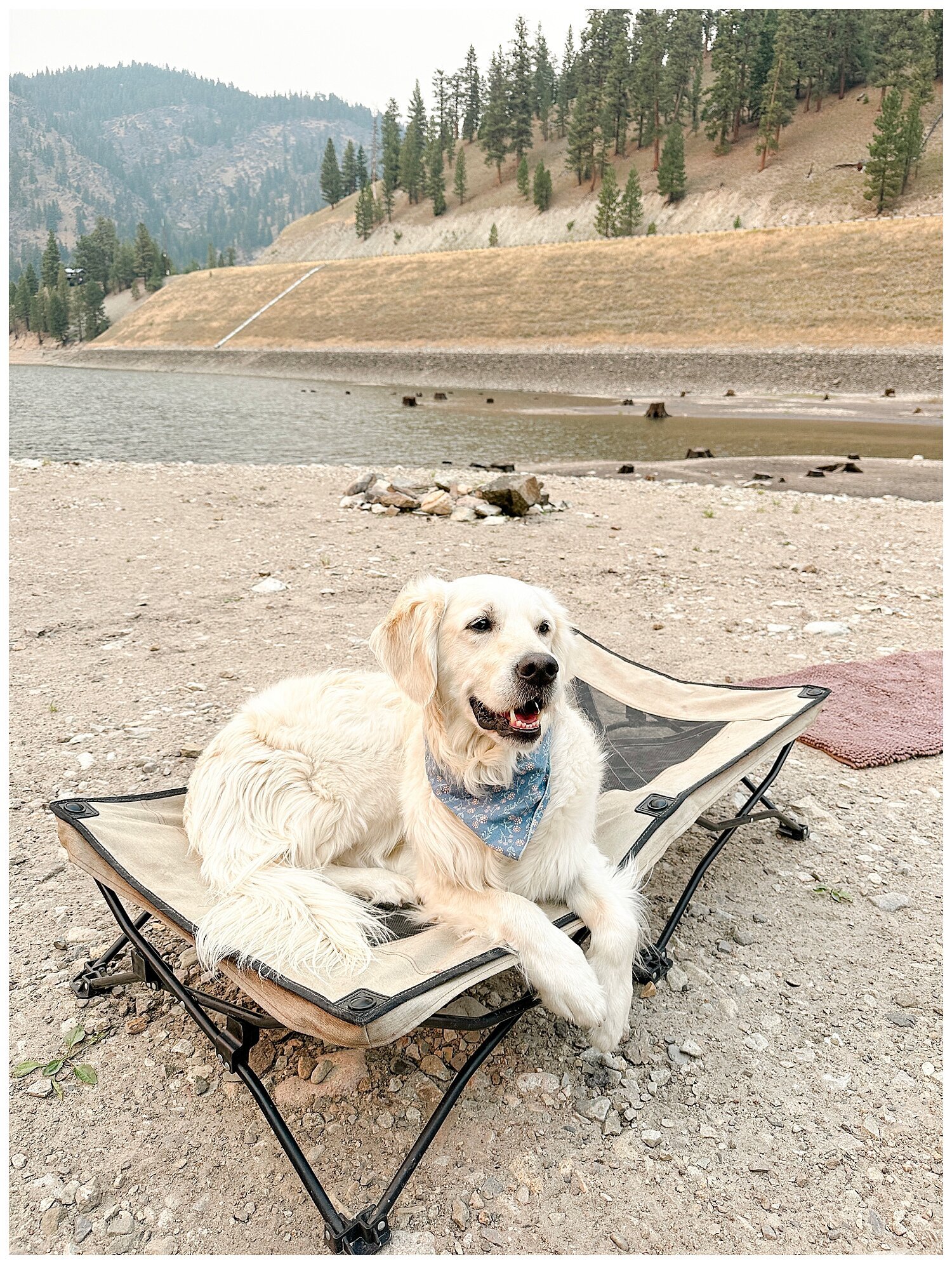 Diary of a Retriever_1111
