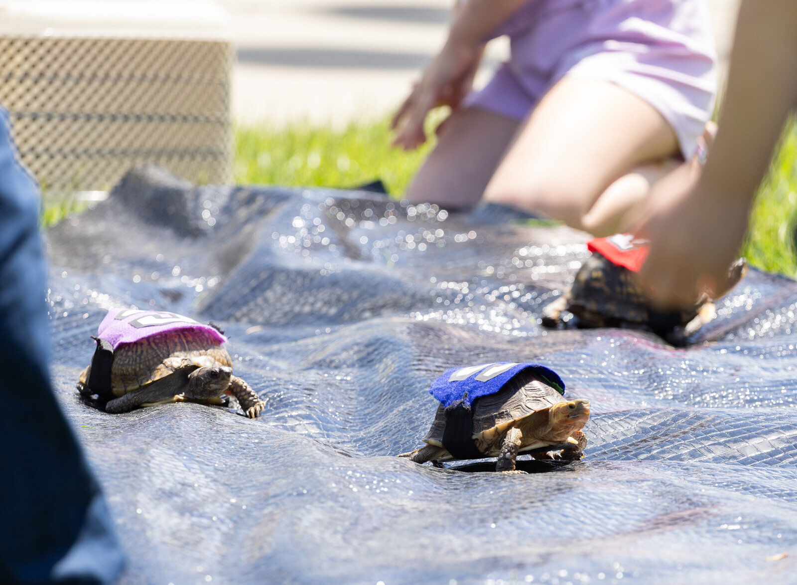 DAWNcil_051825_83A4237