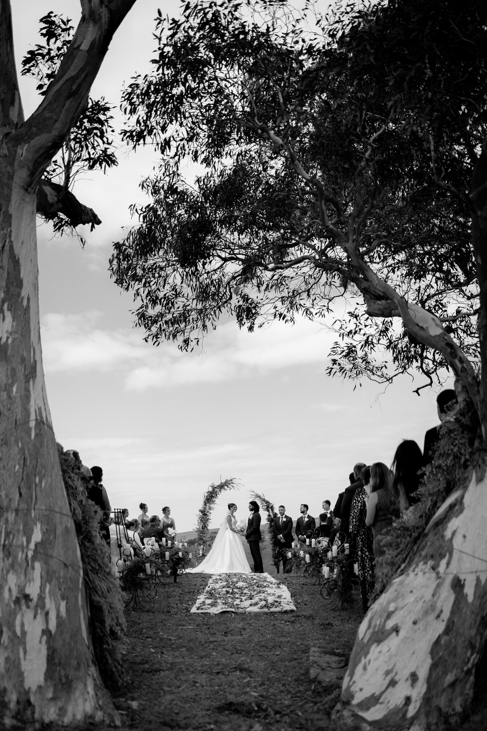 250405-Shelby-Alastair-Rexvil-Photography-Adelaide-Wedding-Photographer-347