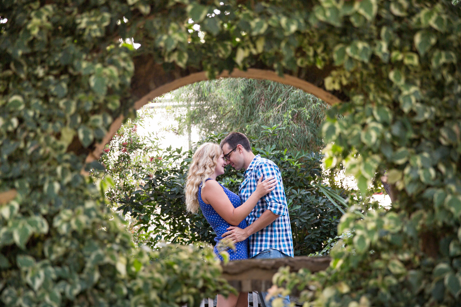 engaged couple posed under ivy arch at Royal Botanical Gardens in Burlington