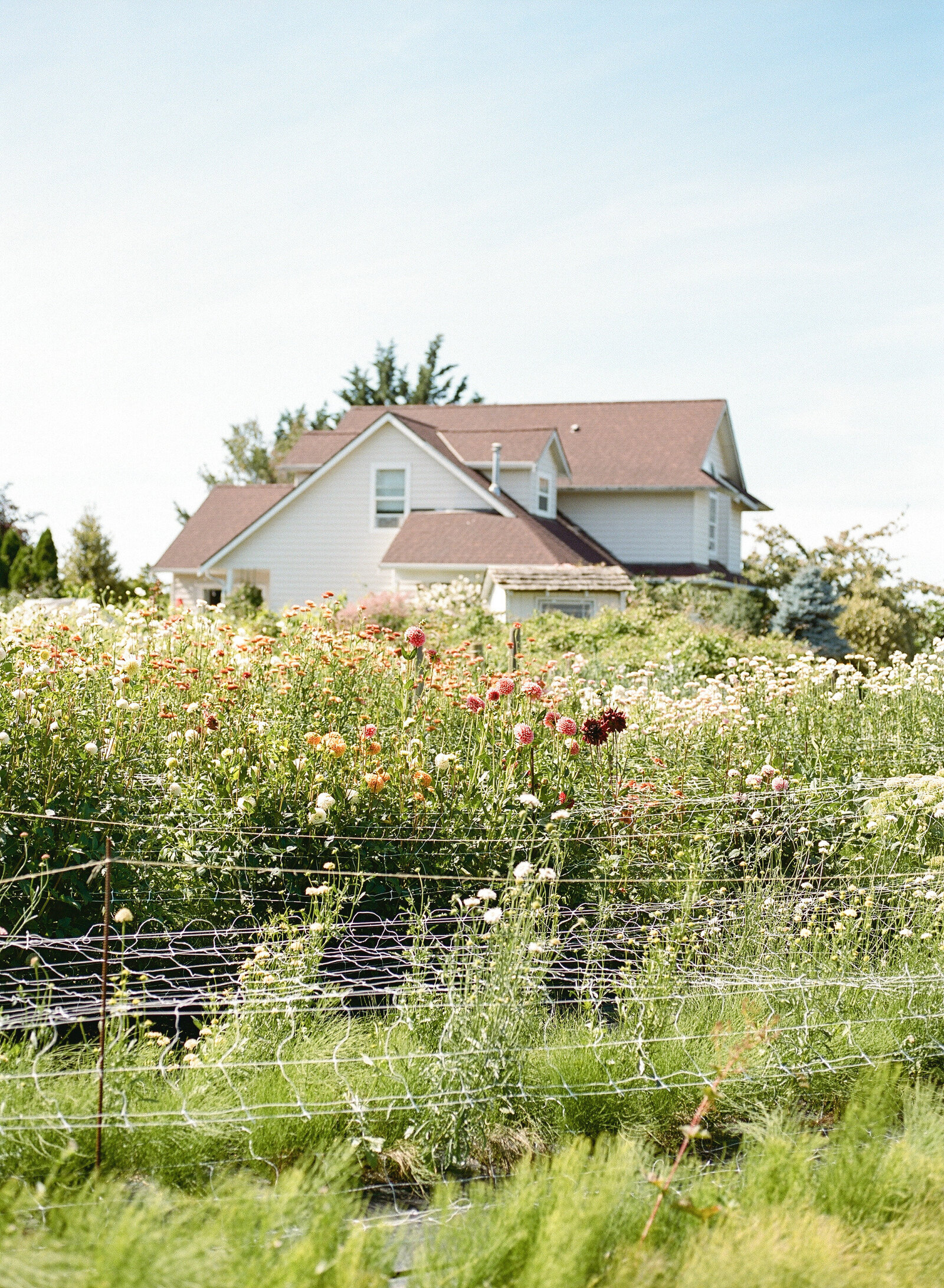 Country Bouquets Floral - Kerry Jeanne Photography (2 of 117)