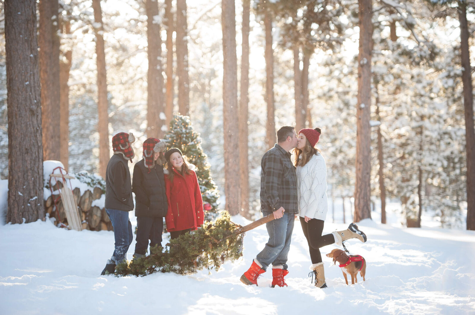 An image taken by a Denver family photographer of mom and dad kisses and dragging a tree while their three kids look on