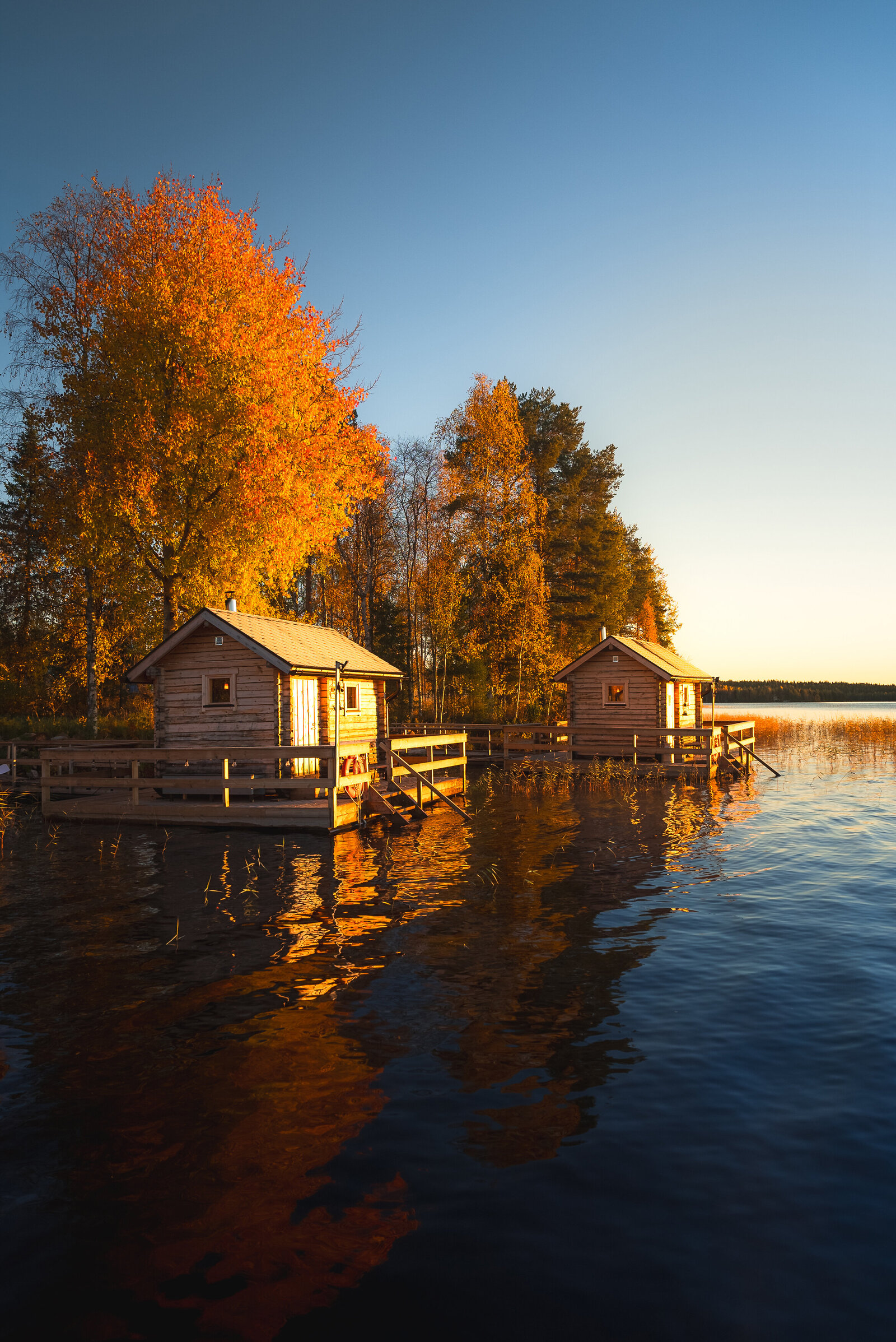 Lapland Finland Arctic Circle Fall Foliage Travel Photographer Erin Donahue niredonahue