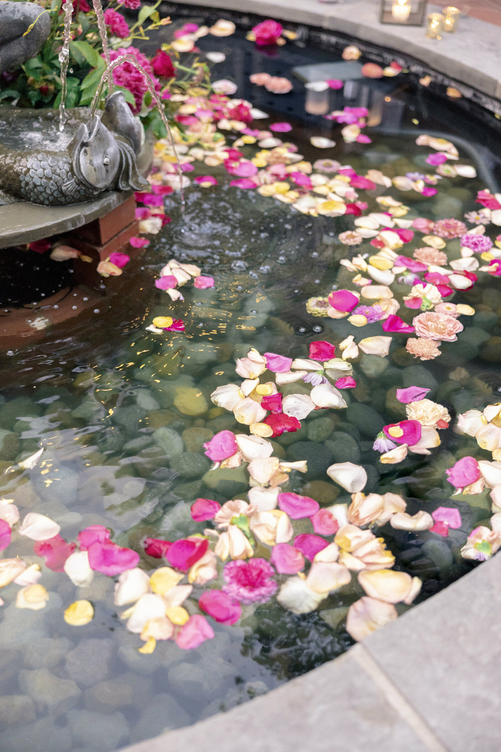 Rose petals floating in the water of a water fountain.