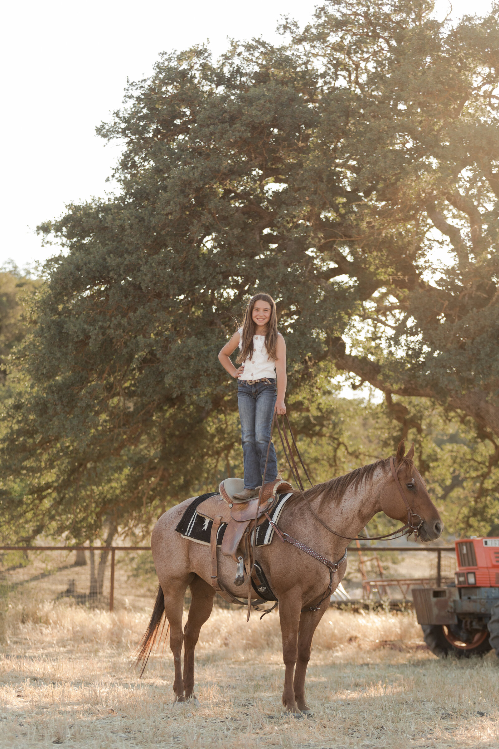 Paso Robles Equine Photographer