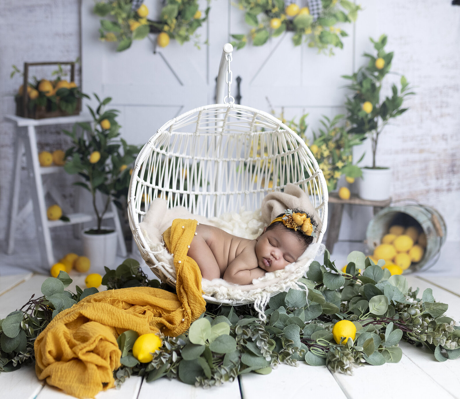 Newborn girl in basket with lemons.