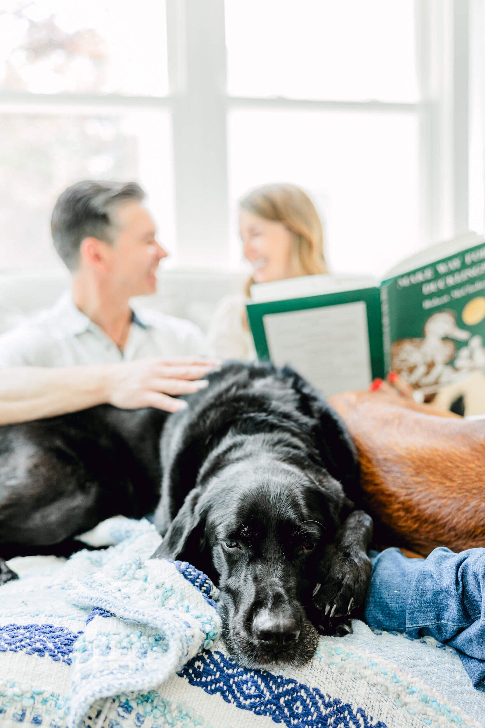 Black lab rests while parents laugh in the background