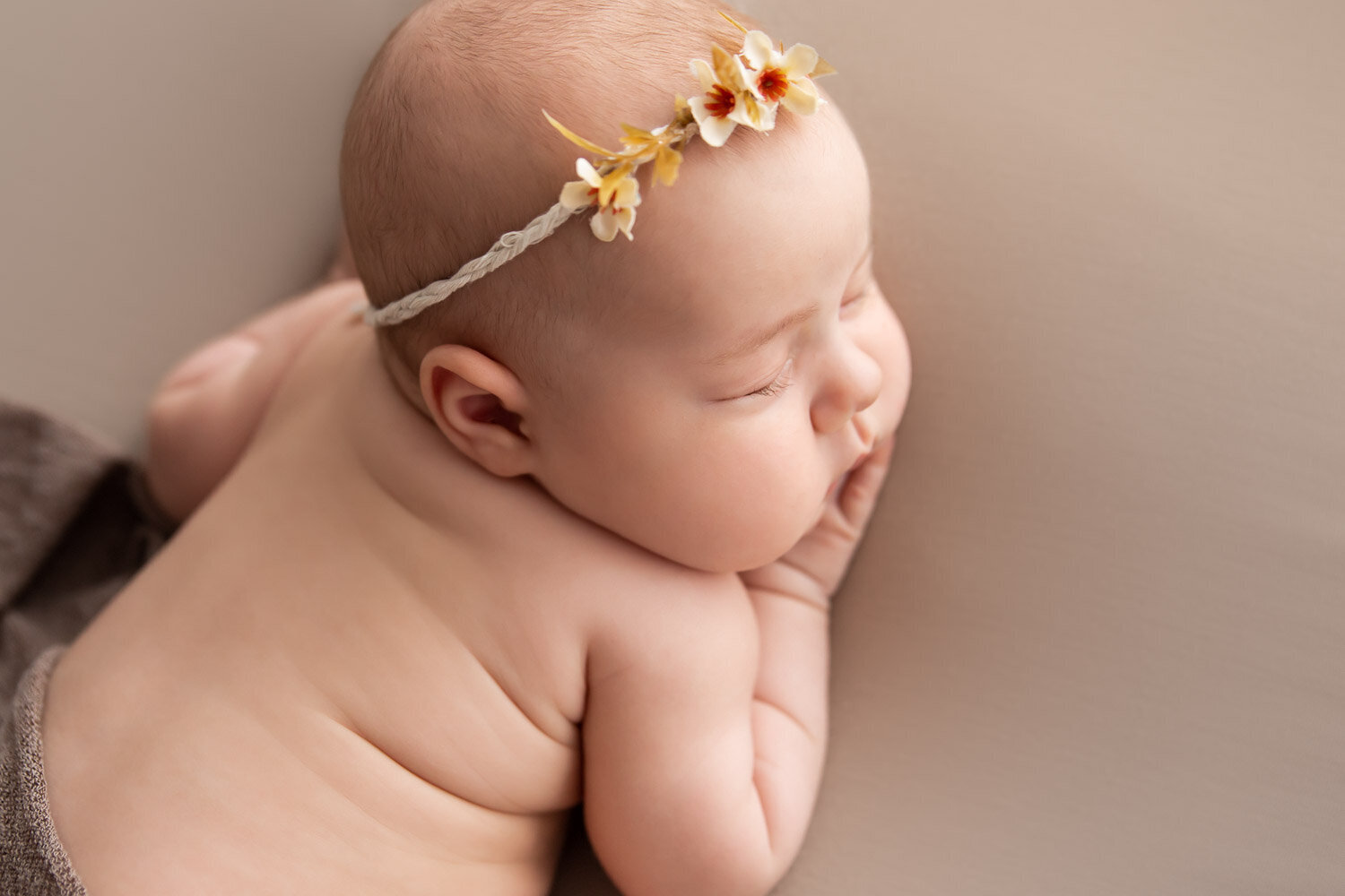 newborn portraits-7