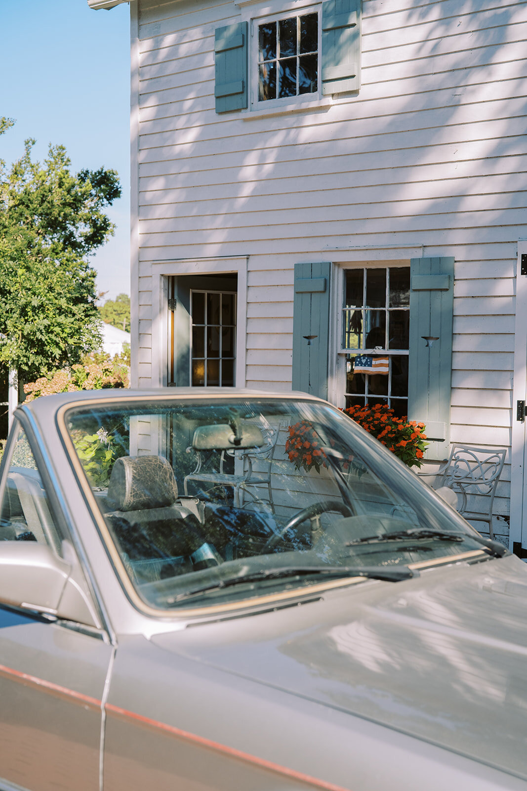 rachelpearlmanphotography_carlinivalis-954