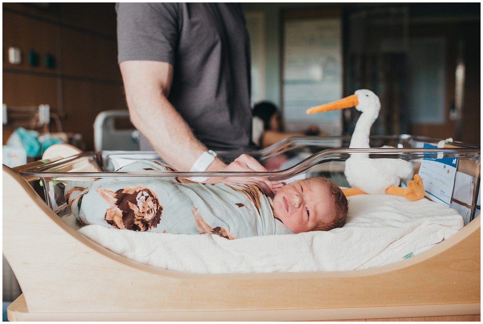Baby boy in hospital bassinet with dad holding hand Emily Ann Photography Seattle Photographer