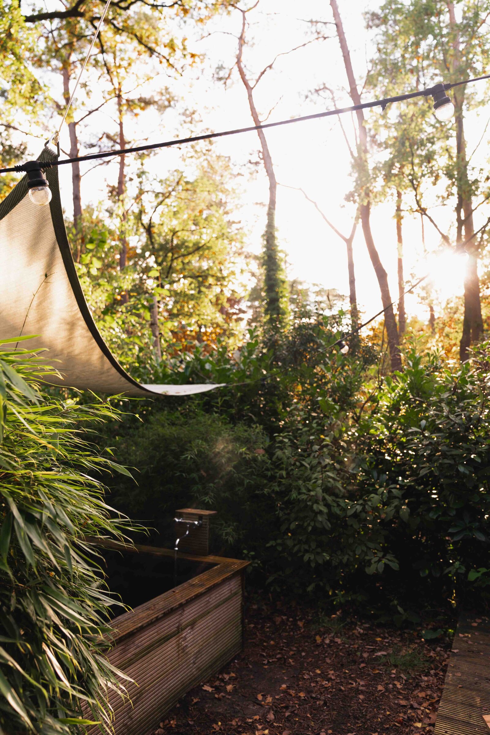 mori-tinyhouse-veluwe-5