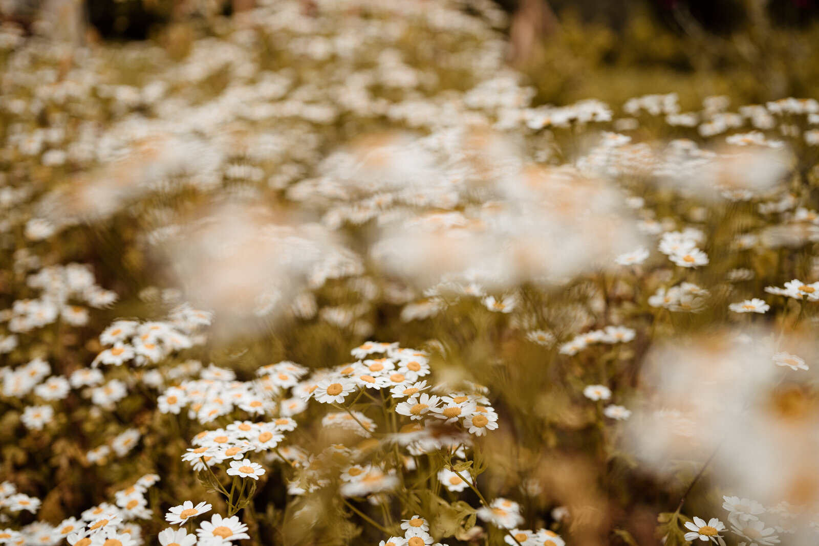 LonnekeArtsPhotography-29