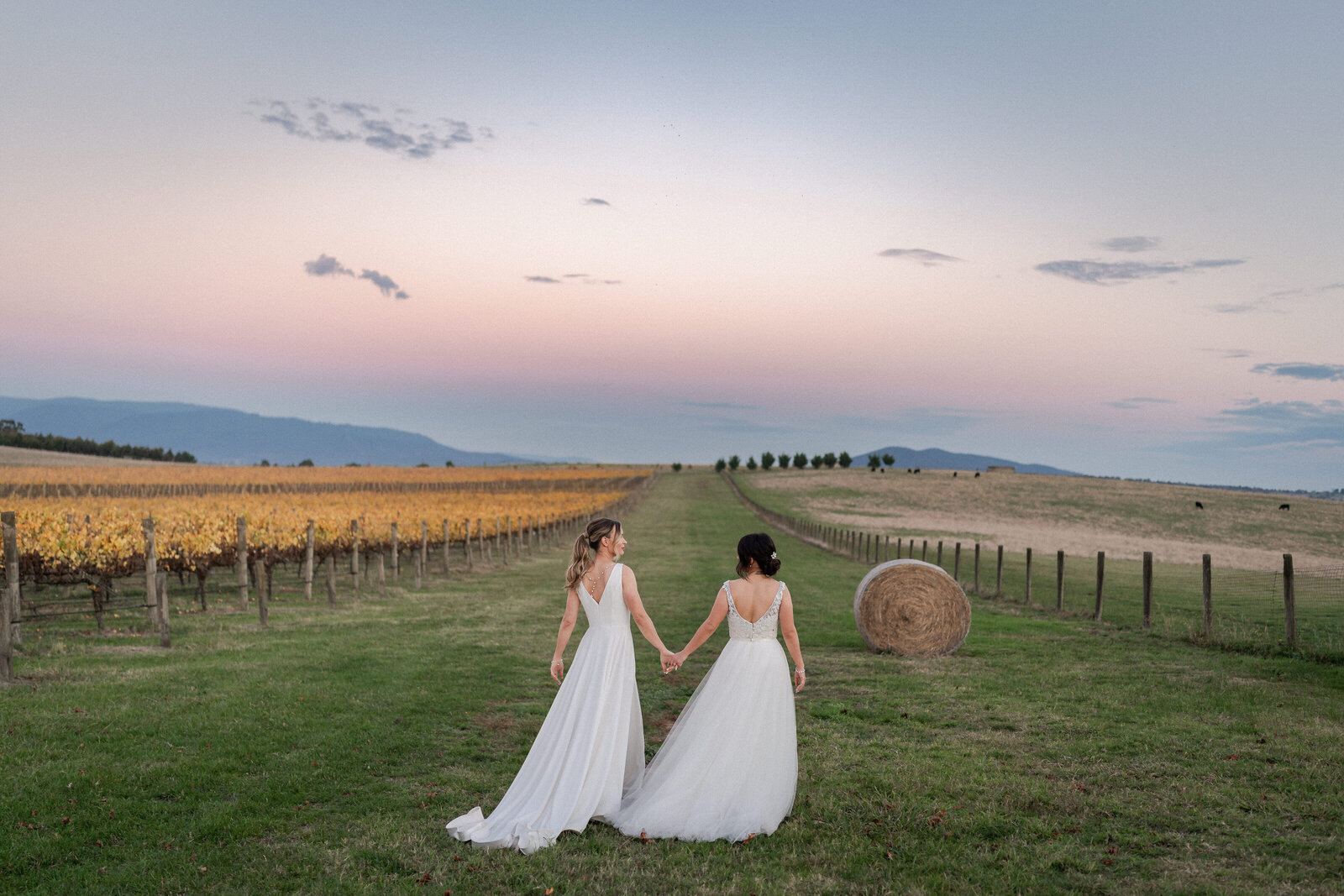 Zonzo Estate Yarra Valley Wedding Phototgraphy