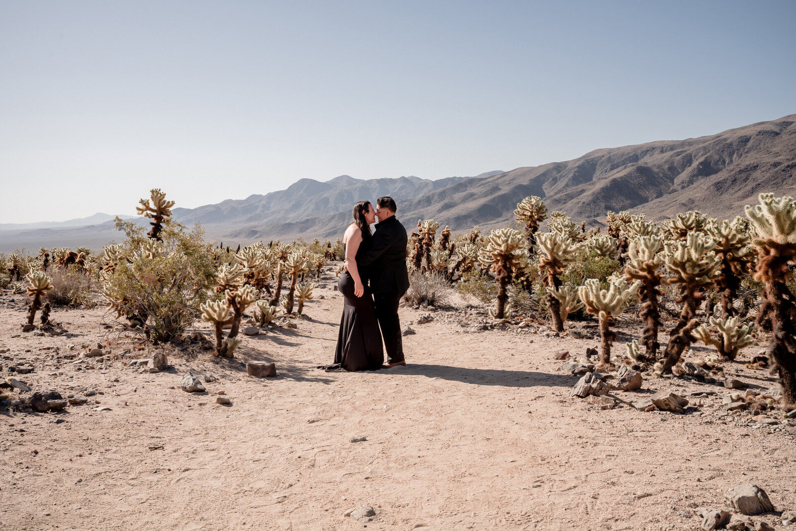 Joshua Tree Couples Session-119 = (119 of 169)__McKinley Griggs