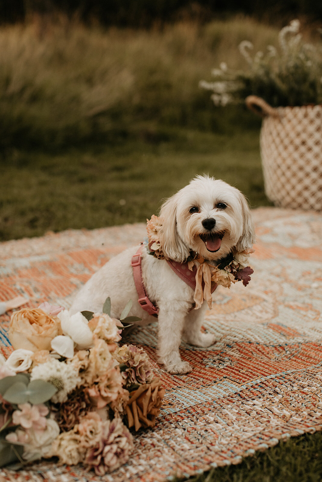 199_Jennifer_Ryan_Micro_Wedding_7.25.20-789