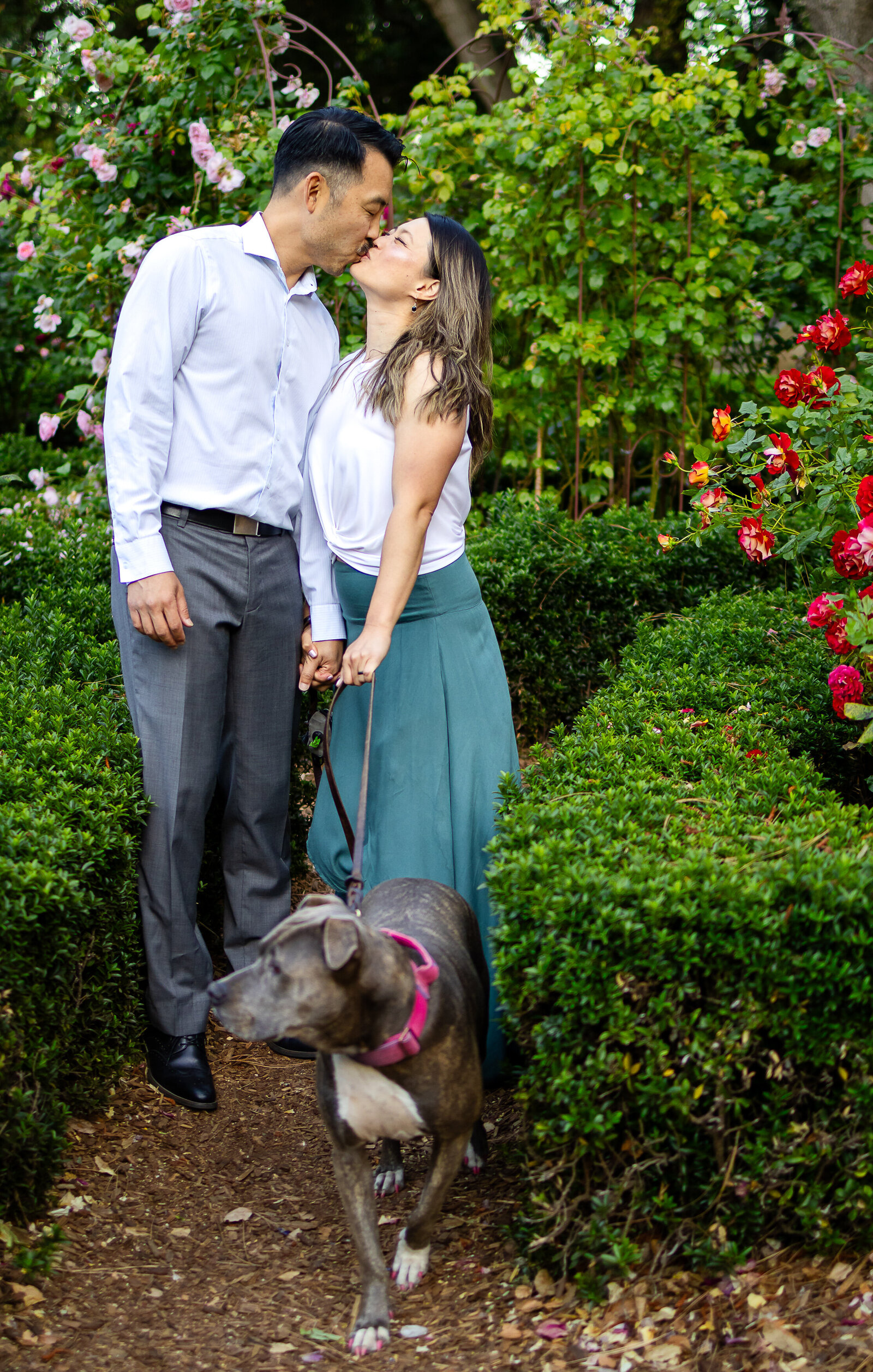San Mateo family photographer 11