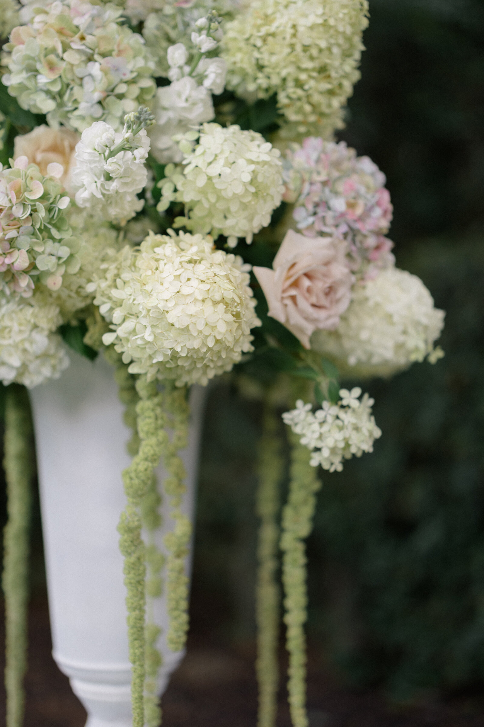 Tiffany&Vincent_Wedding_642_2025