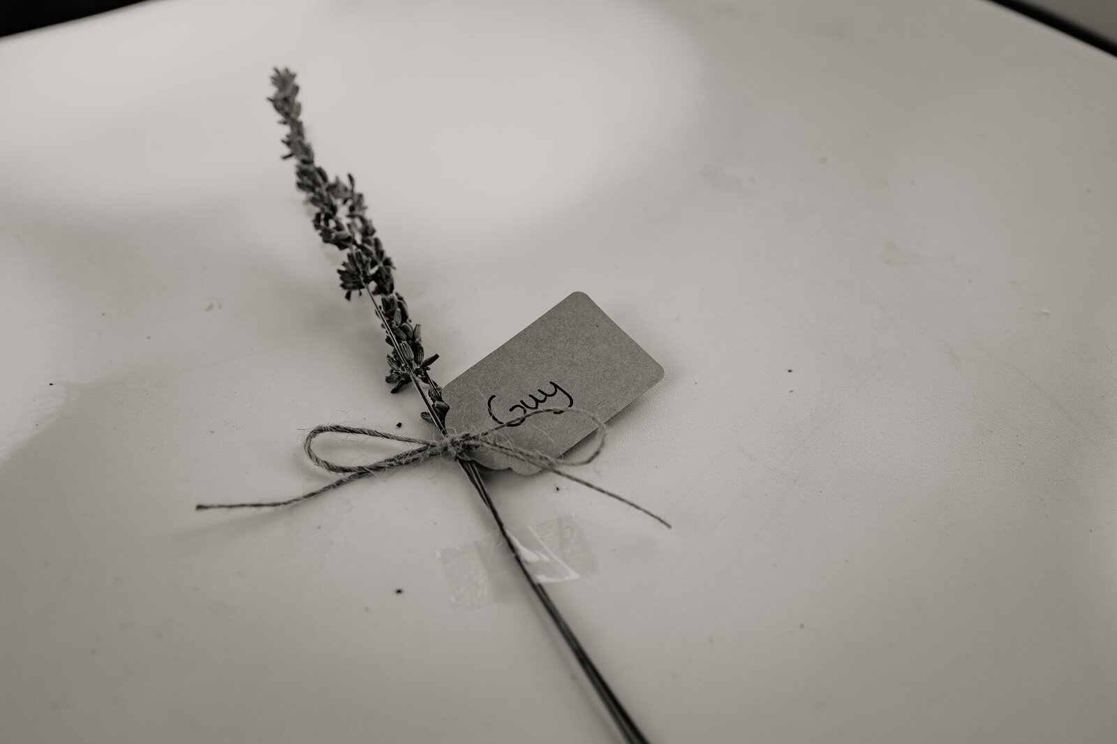 lanoukfotografie_trouwen_kasteelmaurick_jobdionne-258