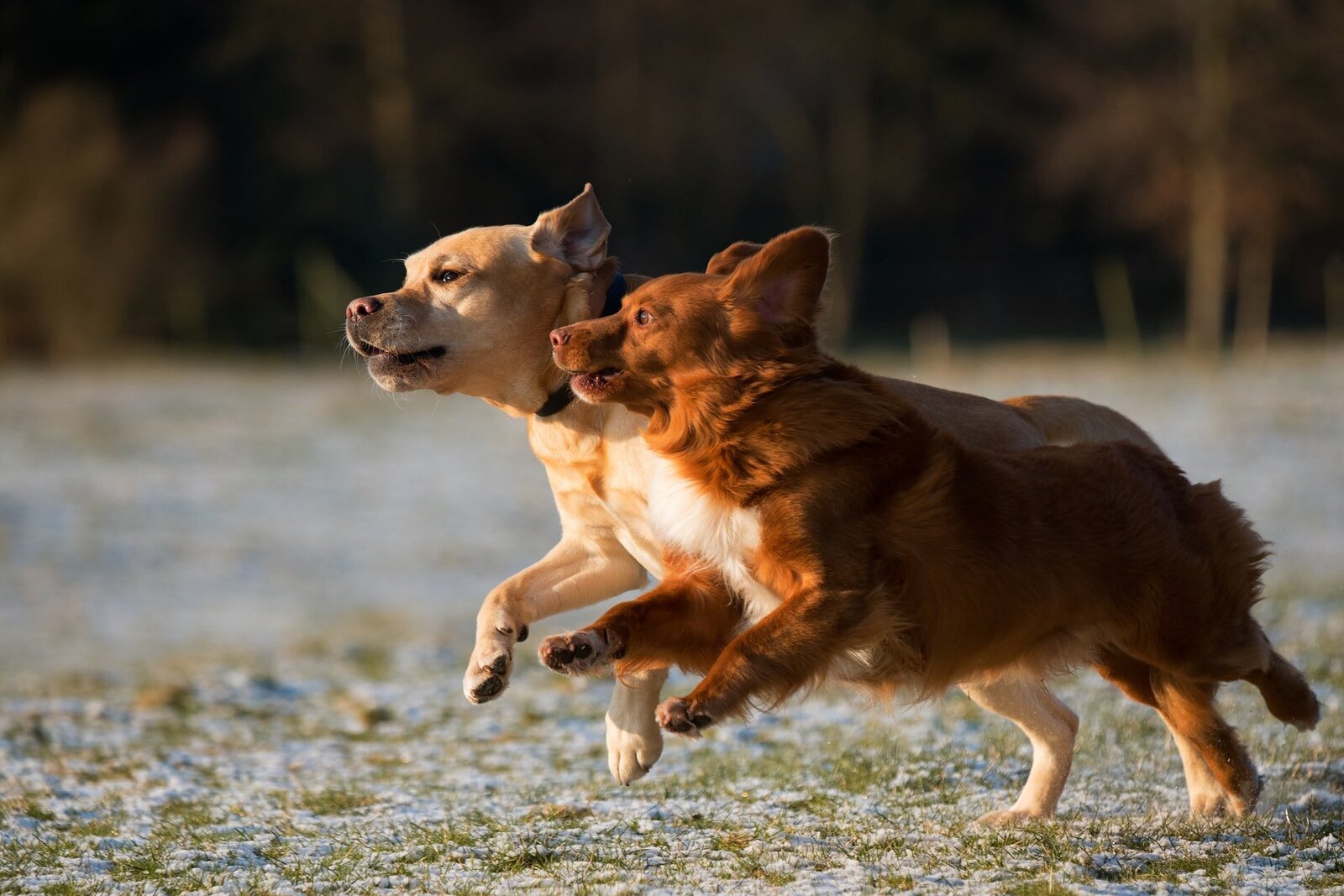 vincent-van-zalinge-AjtGg8feZhg-unsplash