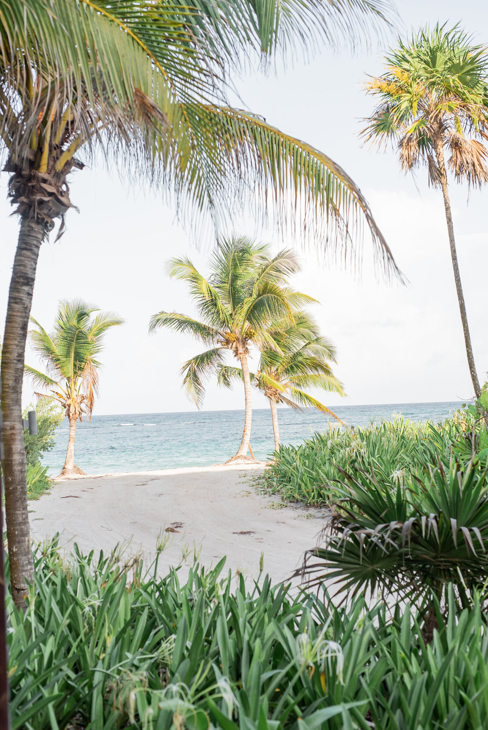 outdoor beach wedding