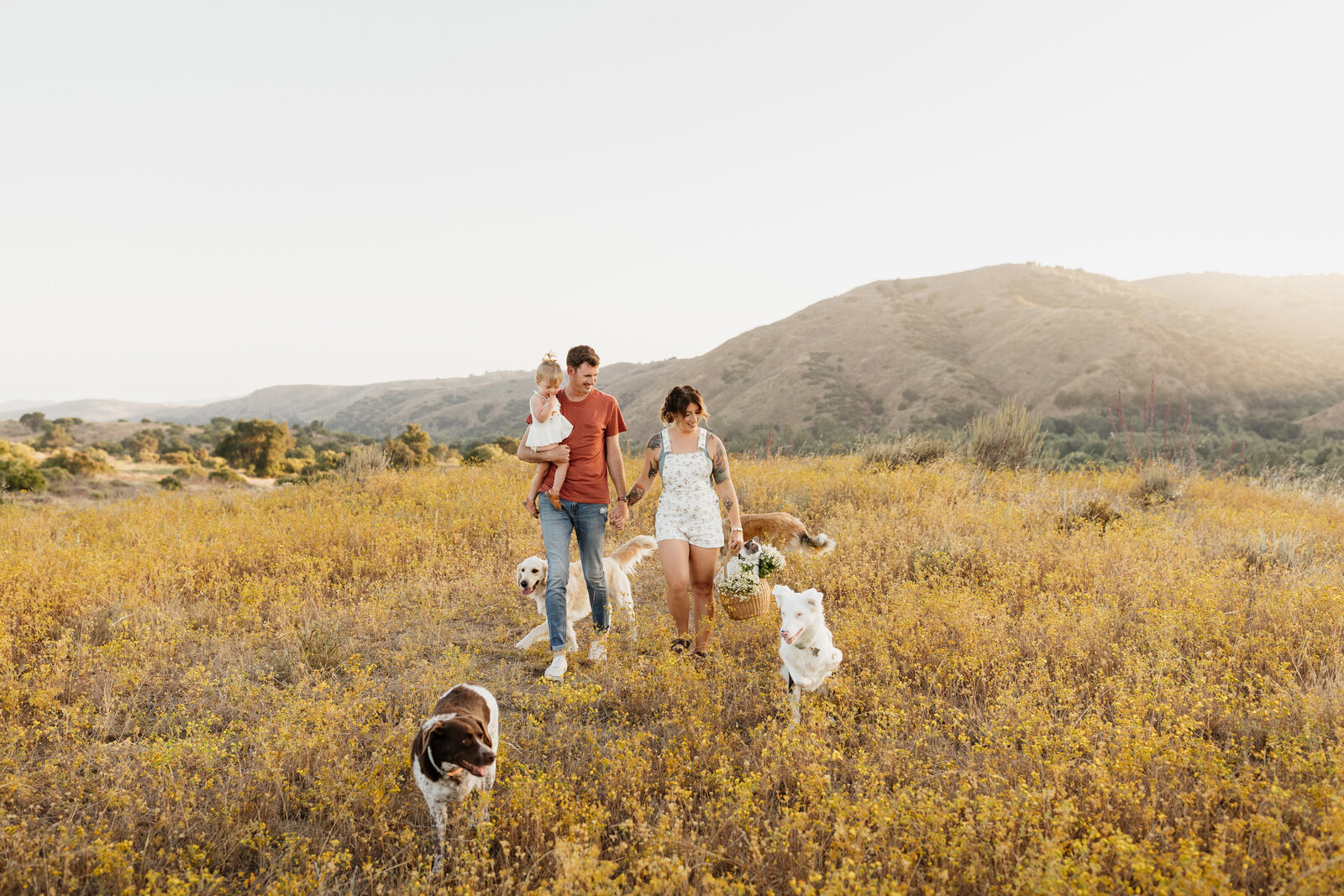 a family walking in a field with their dogs