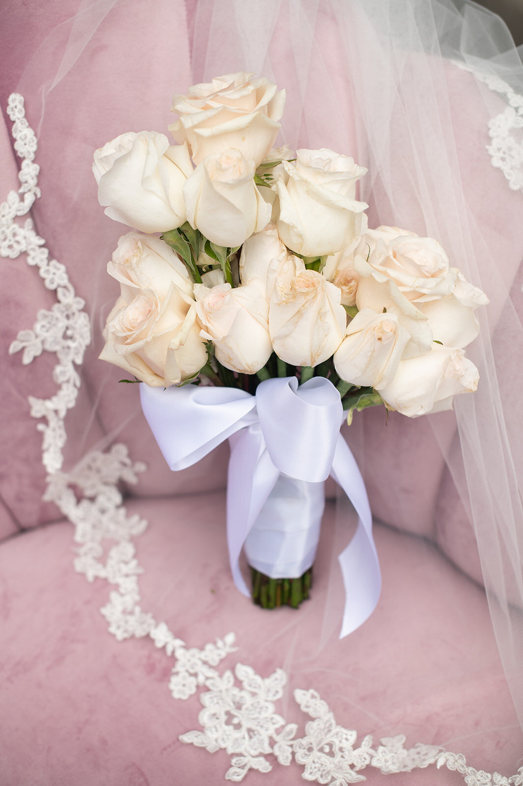 Rhea Whitney Photography-3061