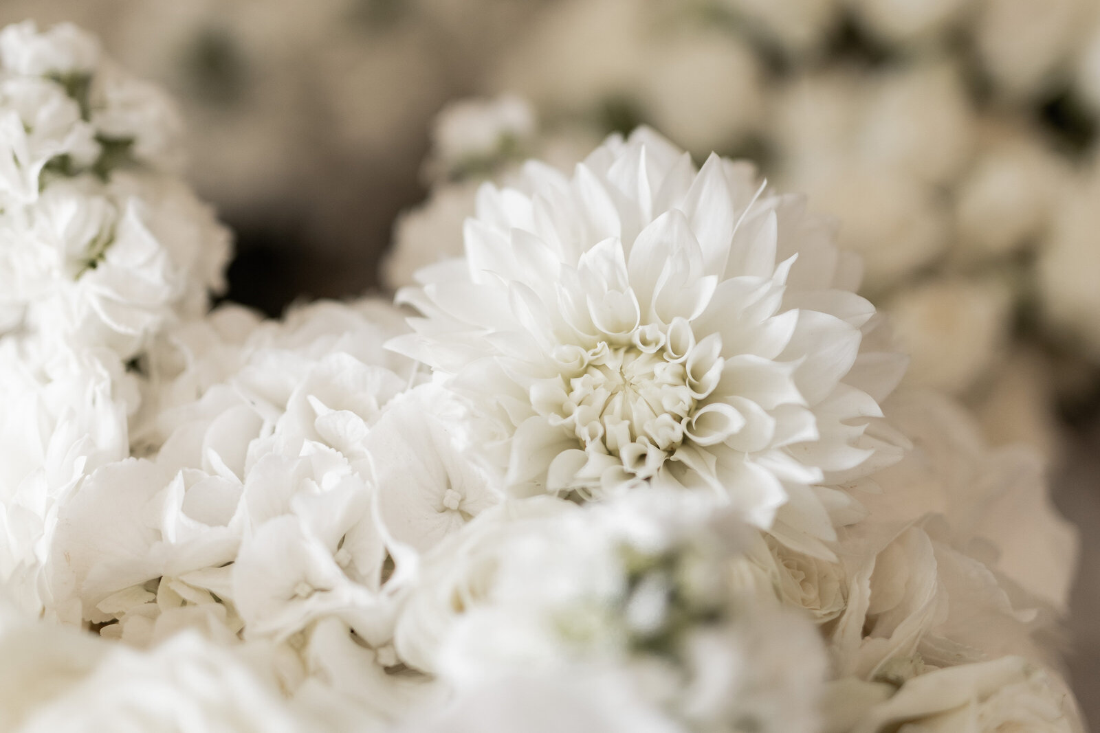 250308-Sophie-Matthew-Rexvil-Photography-Adelaide-Wedding-Photographer-118