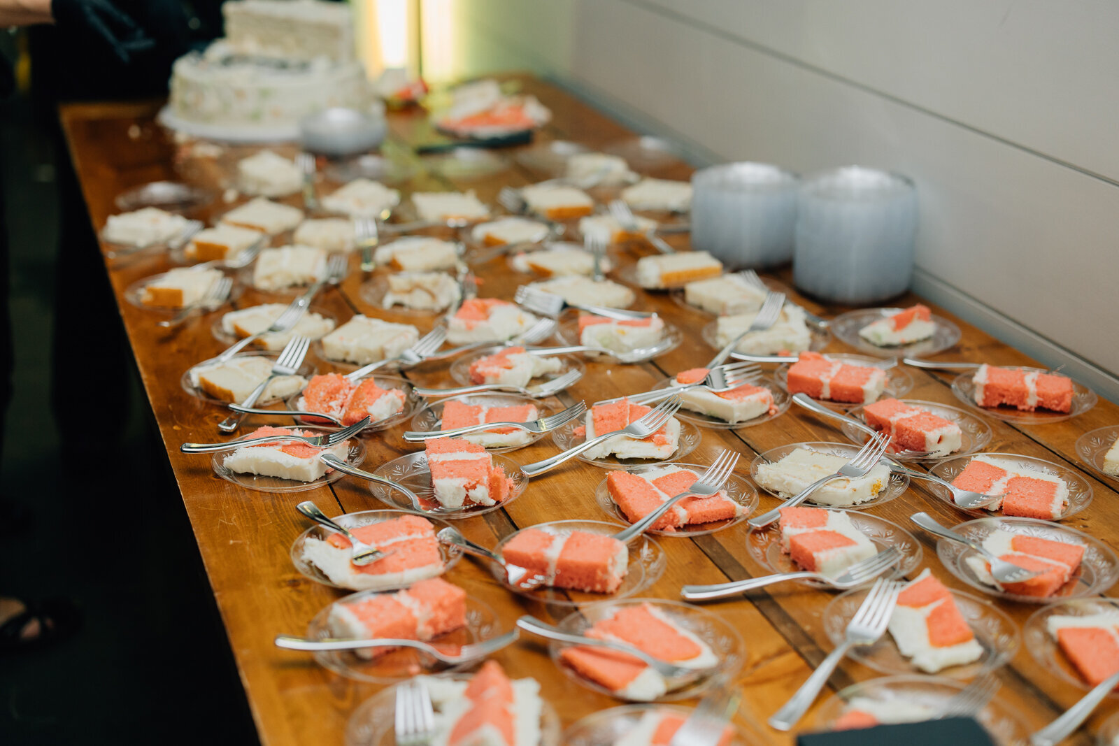 mountain-wedding-waynesville-nc-chestnut-ridge-134
