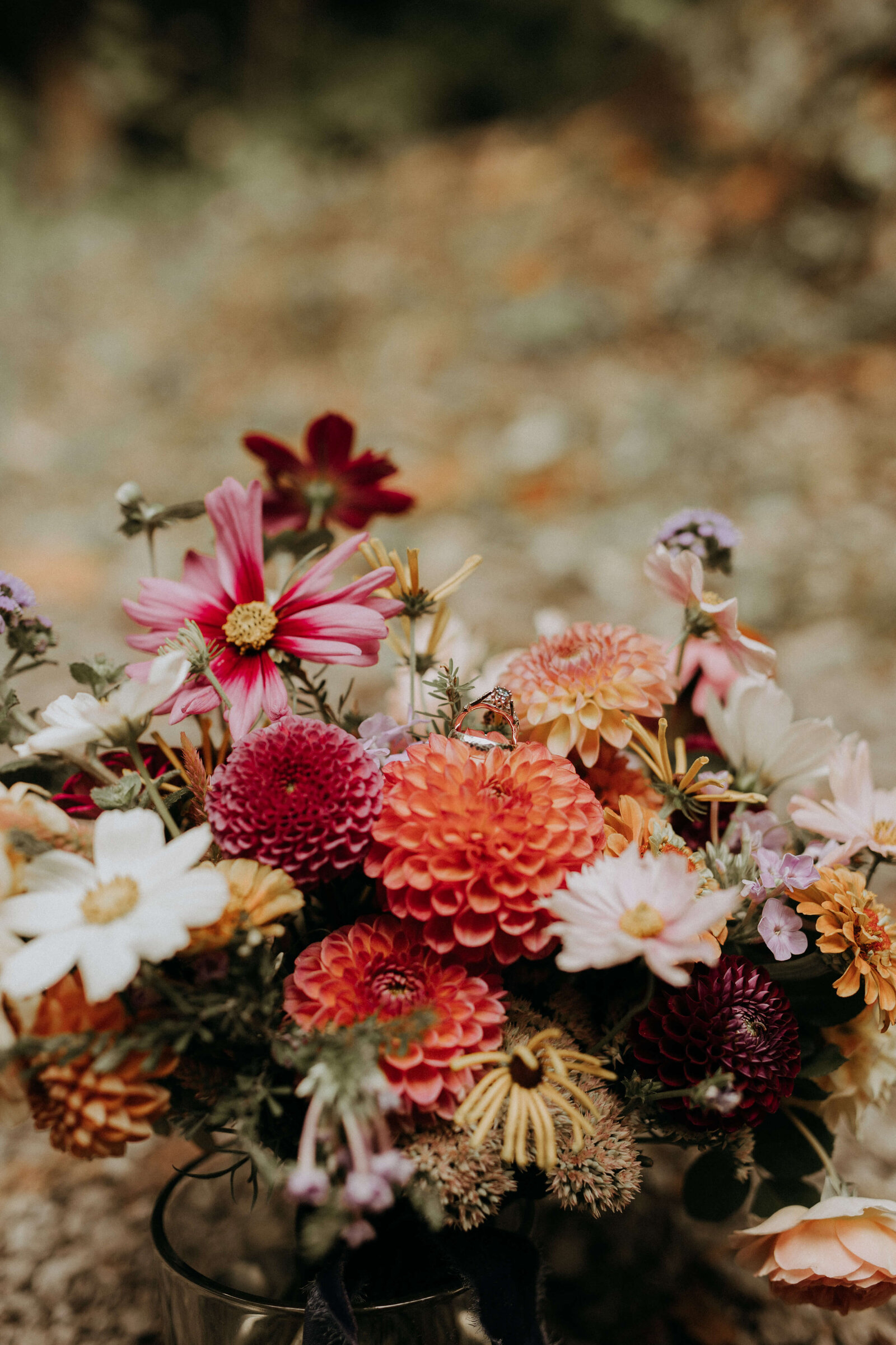 colorful bridal bouquet by Napping Cat Florals