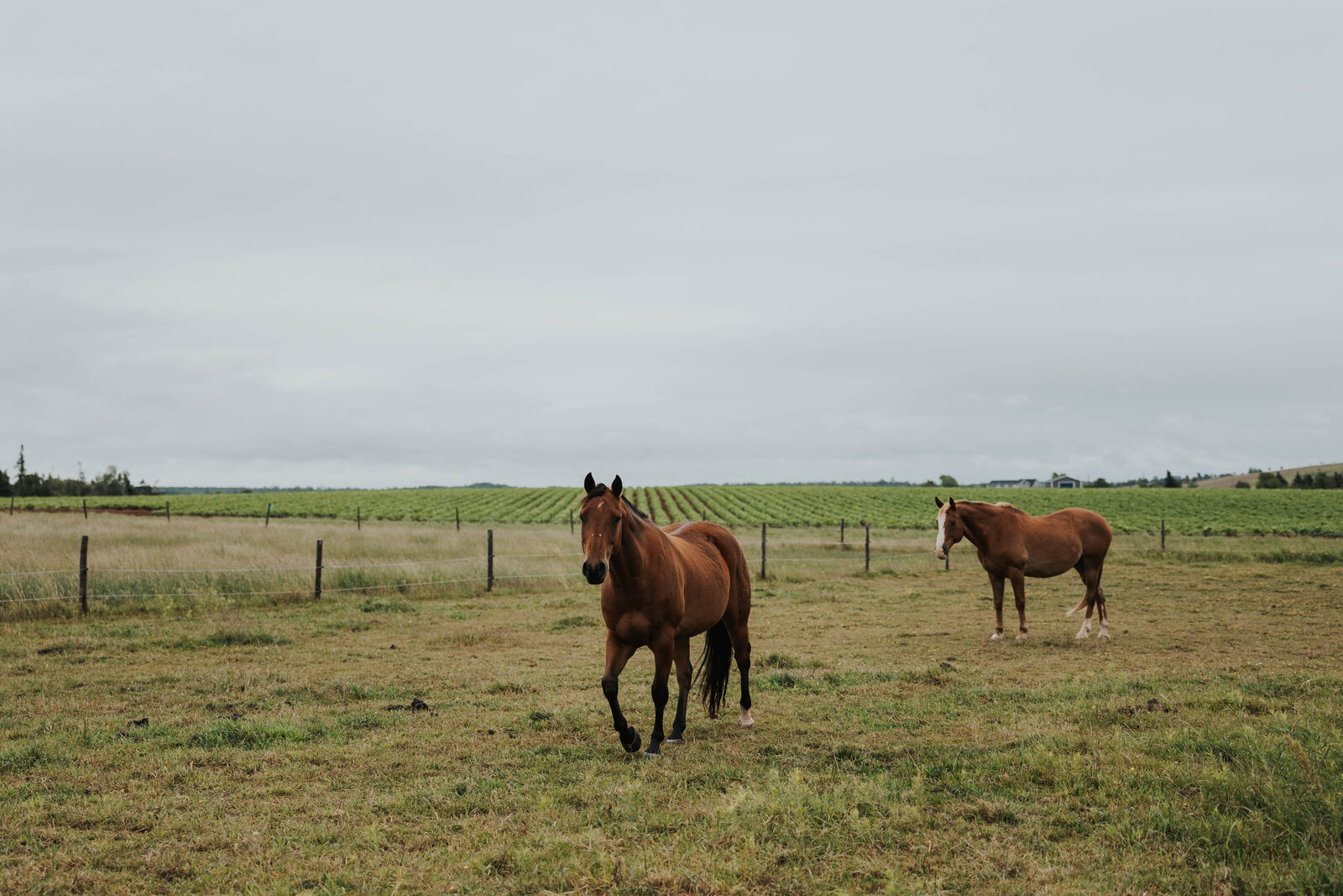 cassiebethphoto-8395