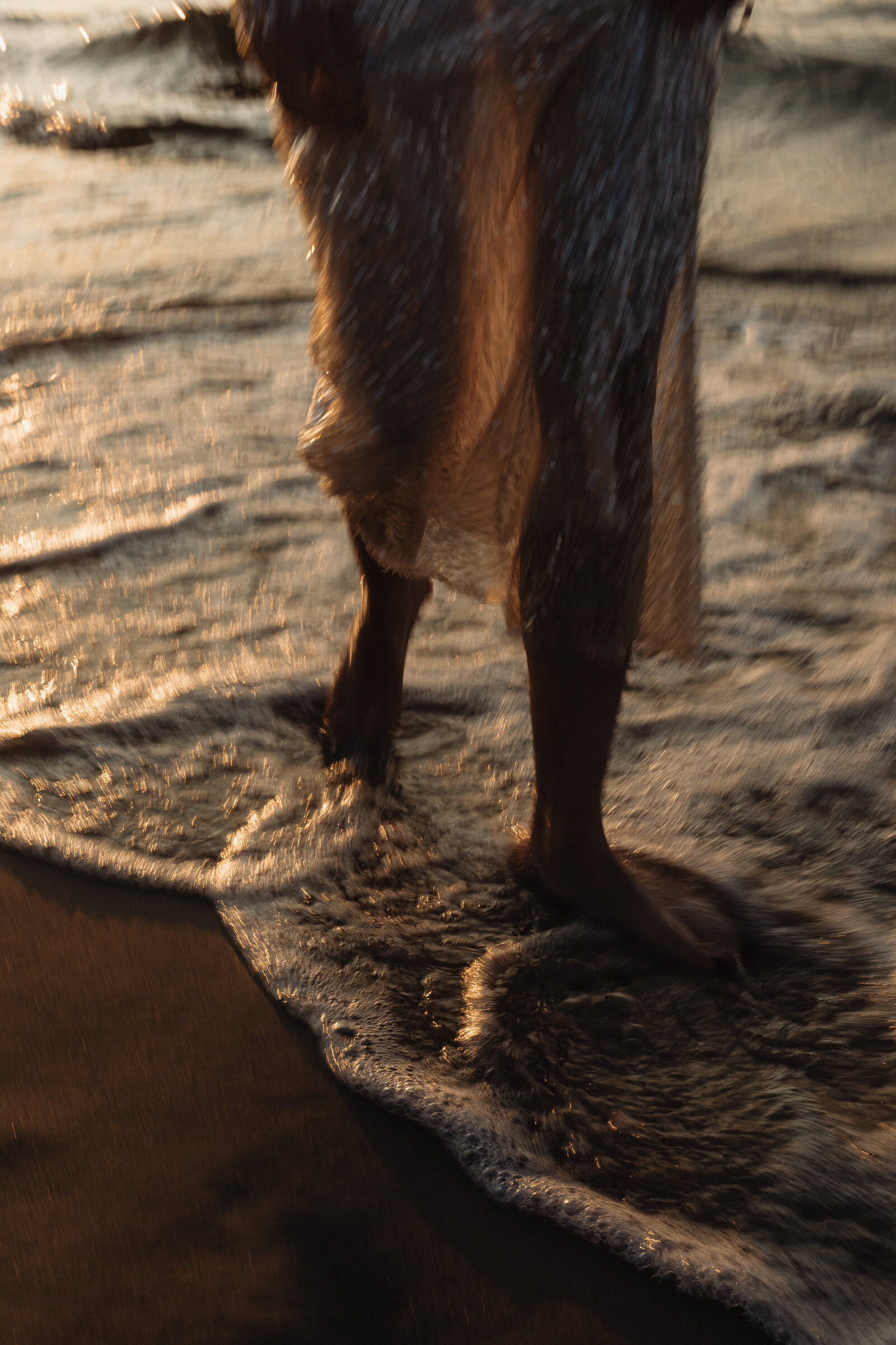 kaboompics_rays-at-the-beach-a-sparkling-moment-32959