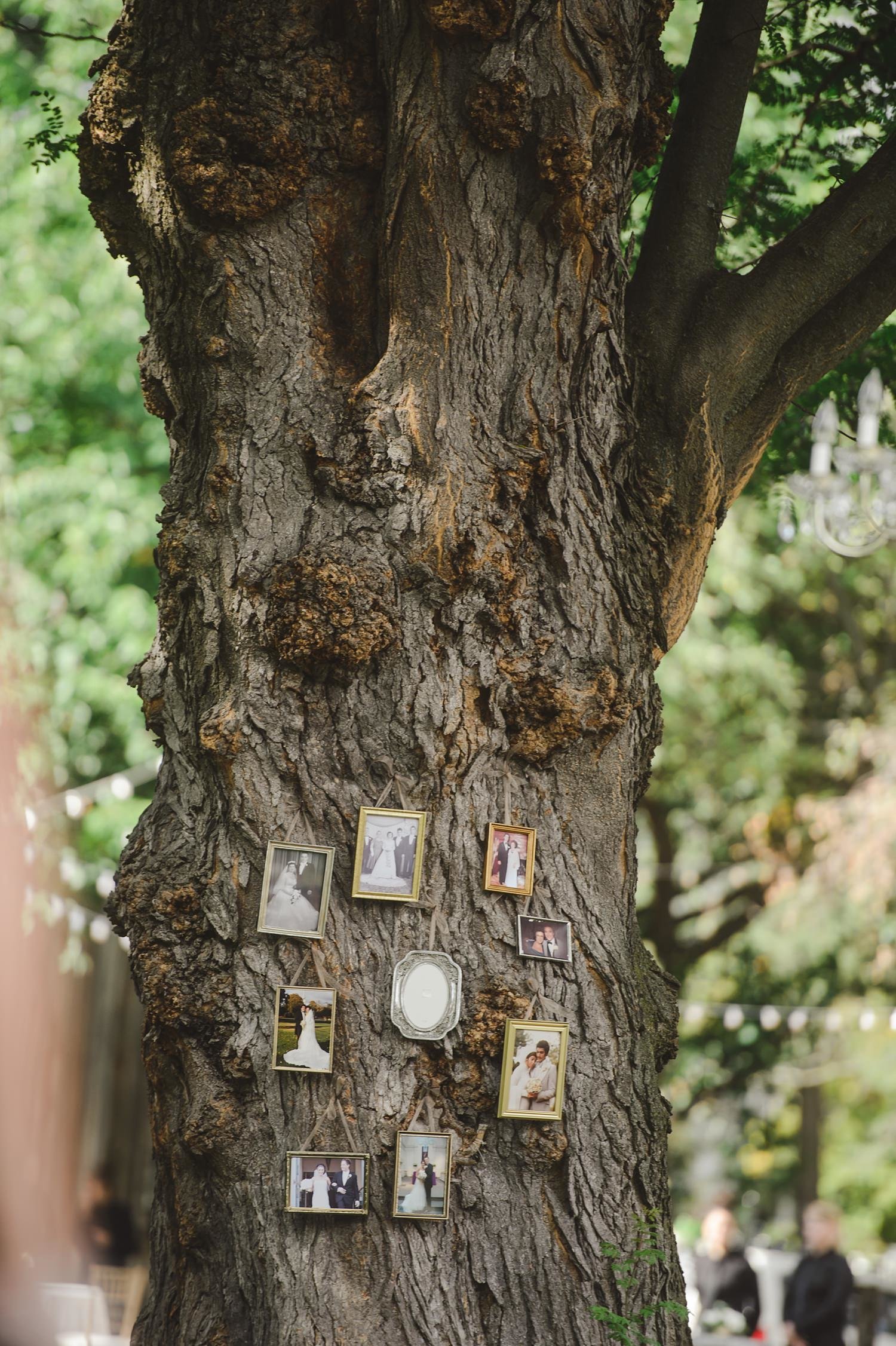 Webb Barn wedding ceremony using pictures to create a family tree