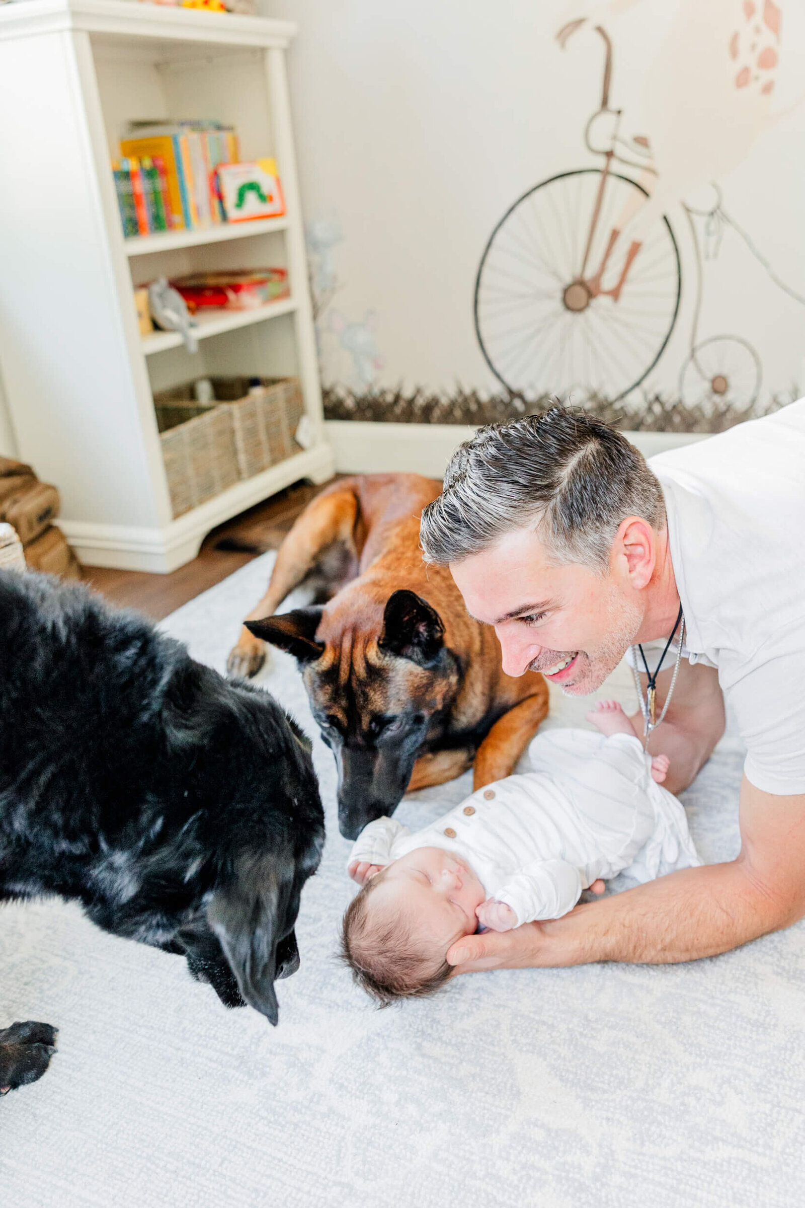 Dad smiles and supports newborn on the floor while two dogs look and sniff curiously