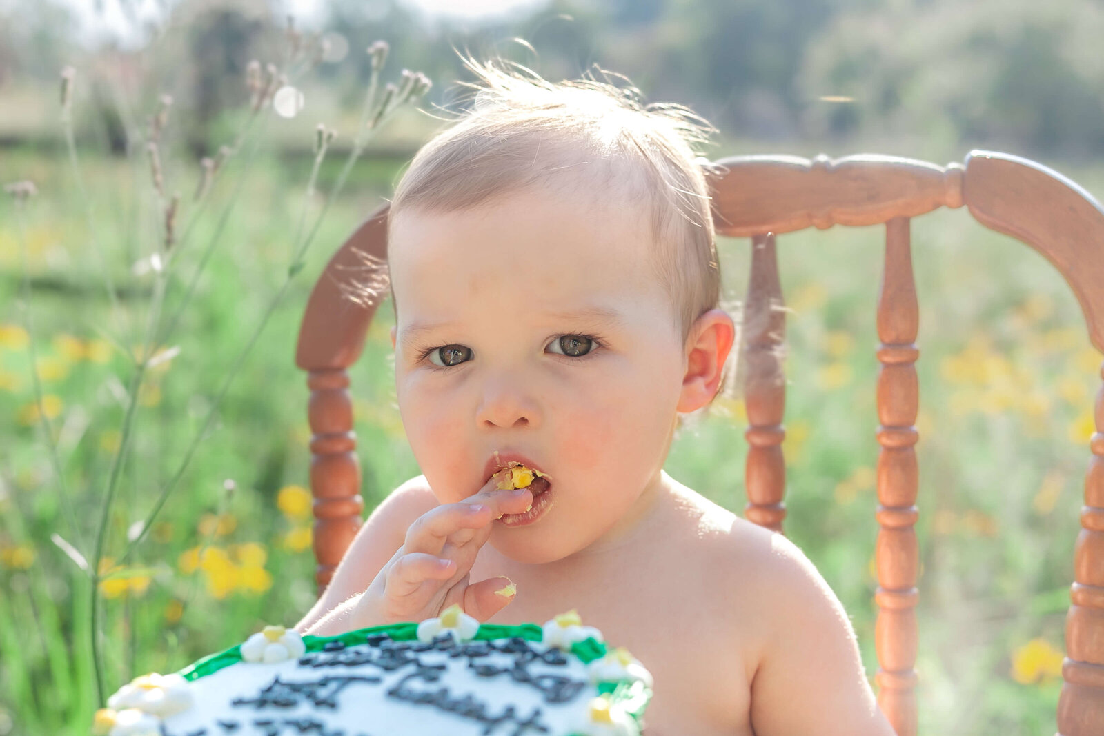 Mississippi-Cake-Smash-Photographer-4