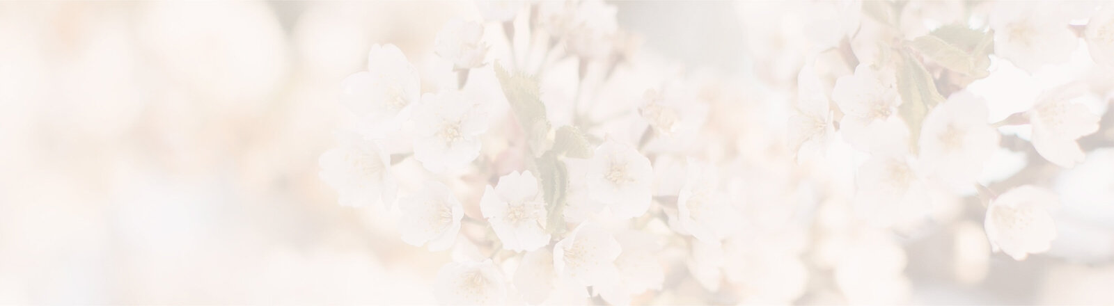 blossoms-bg-01