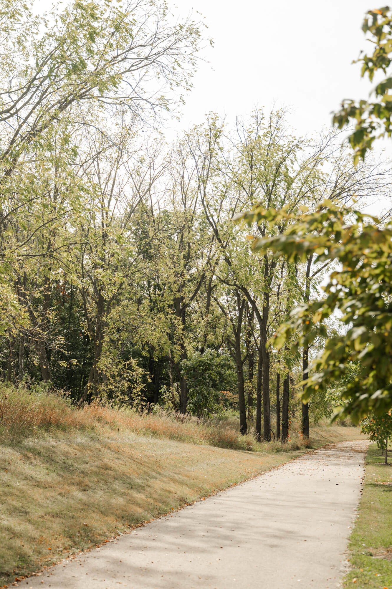 Windsor DeForest-1