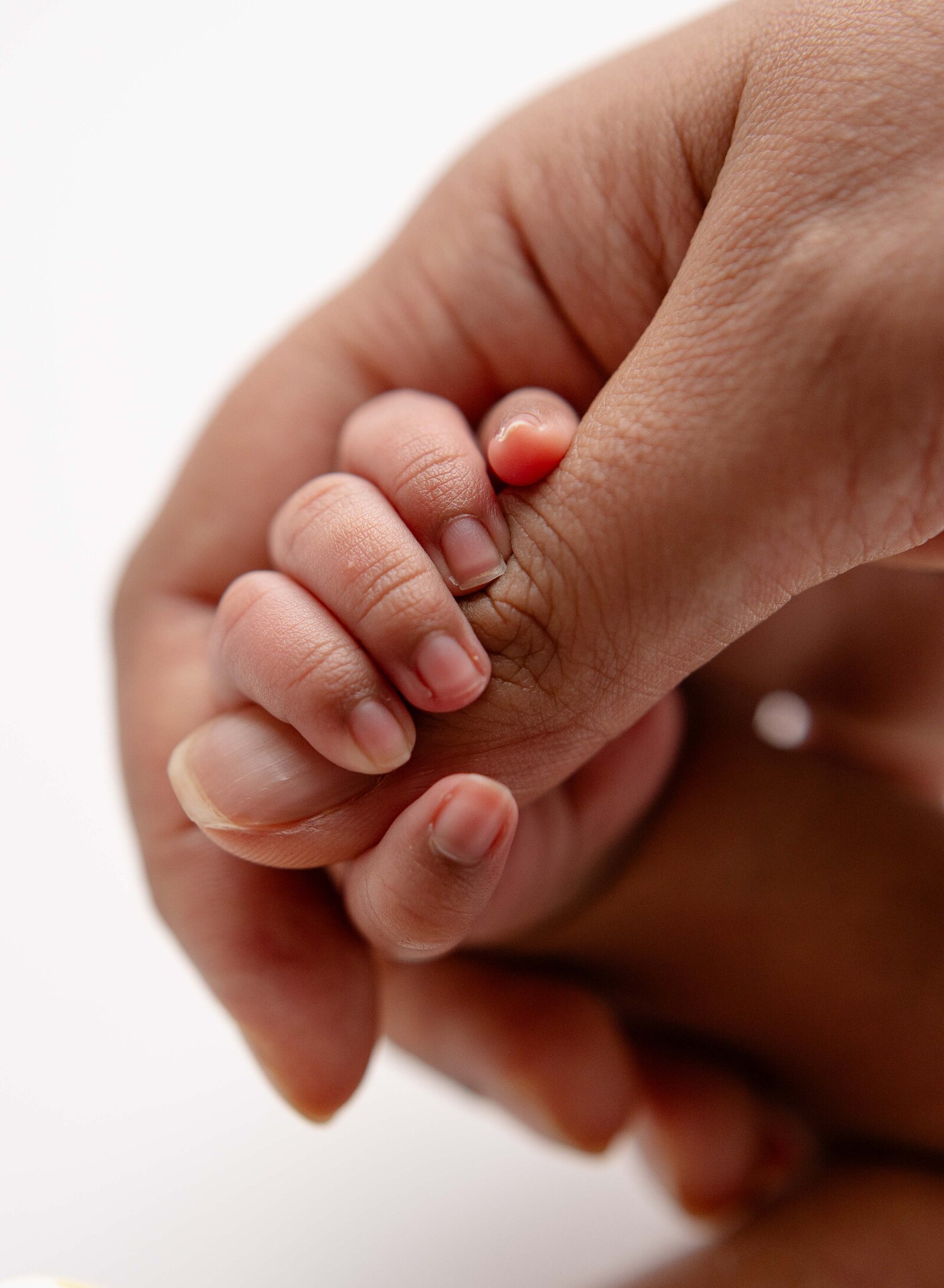 Marietta Photographer taken newborn macro photo of baby's hands.