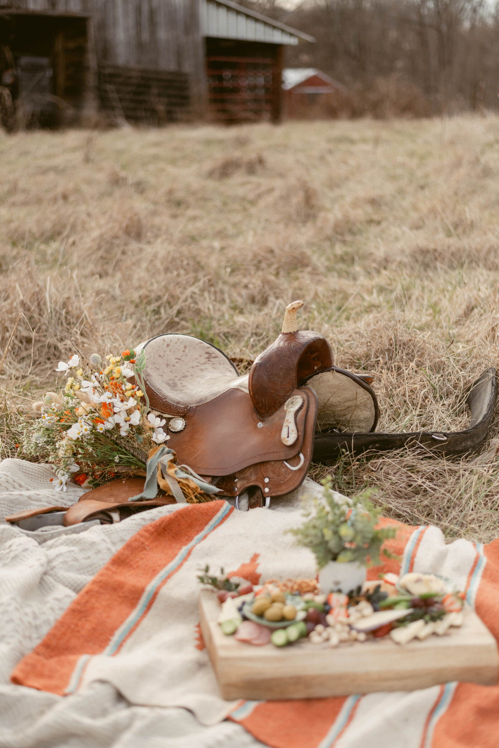 picnic2 (1 of 1)